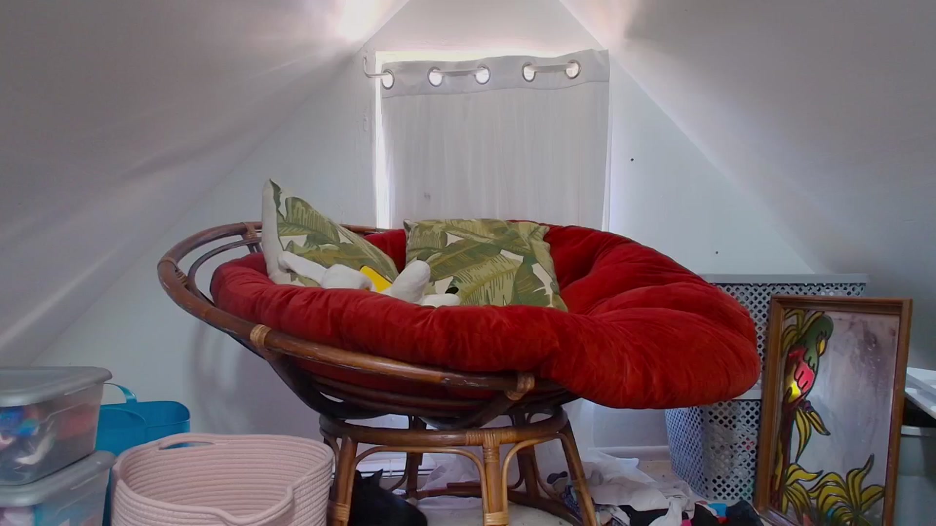 Gallery image thumbnail from NaomiDee's myfreecams stream on, 09/29/2024, 18:38 image 12 of 20