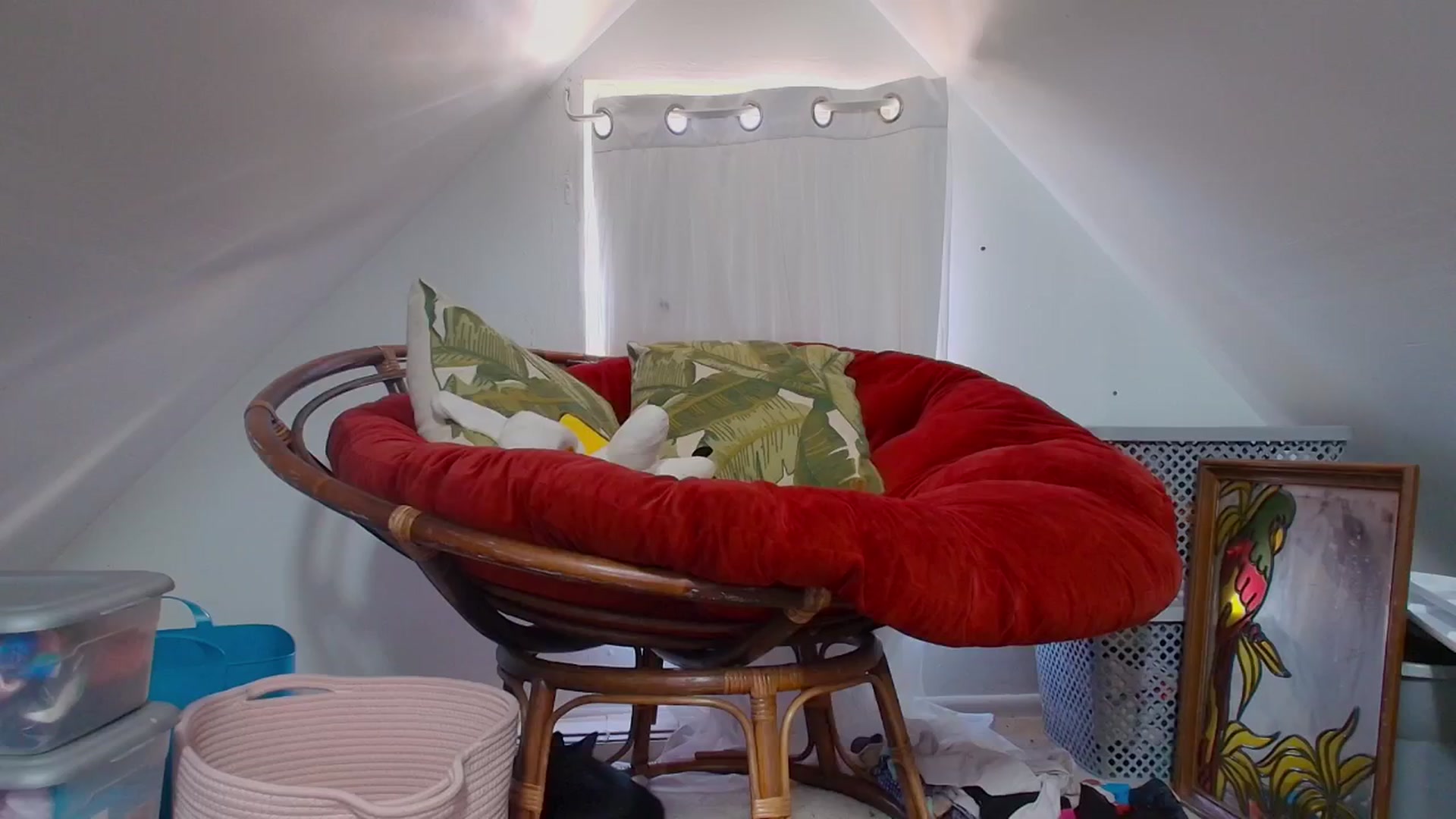 Gallery image thumbnail from NaomiDee's myfreecams stream on, 09/29/2024, 18:38 image 11 of 20