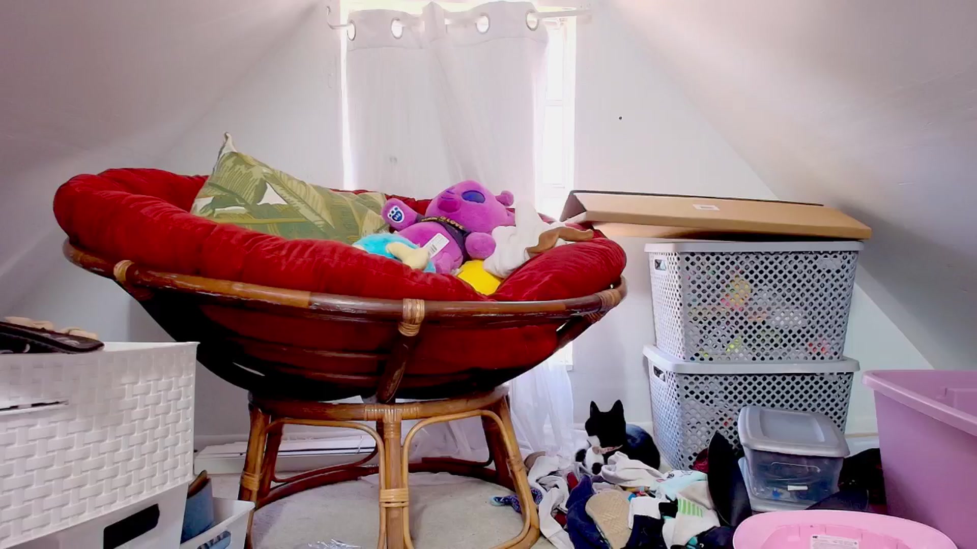 Gallery image thumbnail from NaomiDee's myfreecams stream on, 10/02/2024, 19:12 image 6 of 20