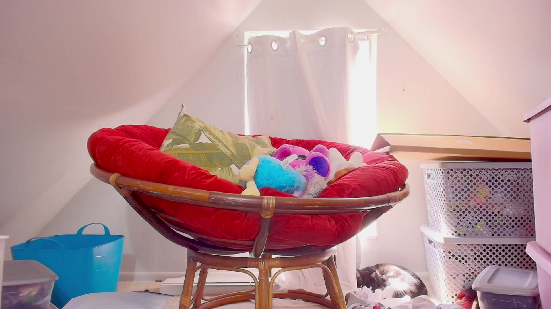 Gallery image thumbnail from NaomiDee's myfreecams stream on, 10/02/2024, 20:35 image 18 of 20