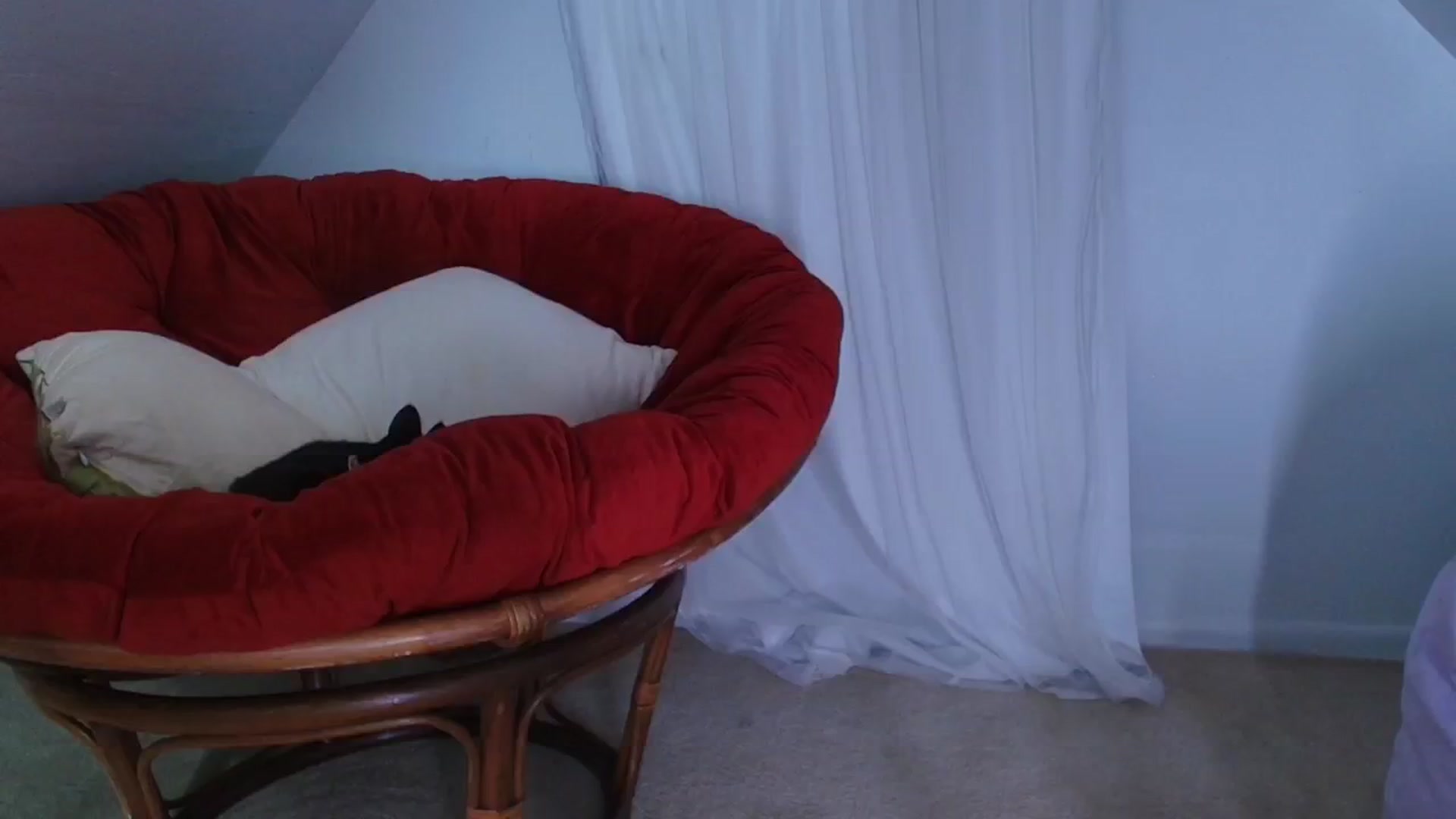 Gallery image thumbnail from NaomiDee's myfreecams stream on, 10/07/2024, 07:47 image 7 of 20