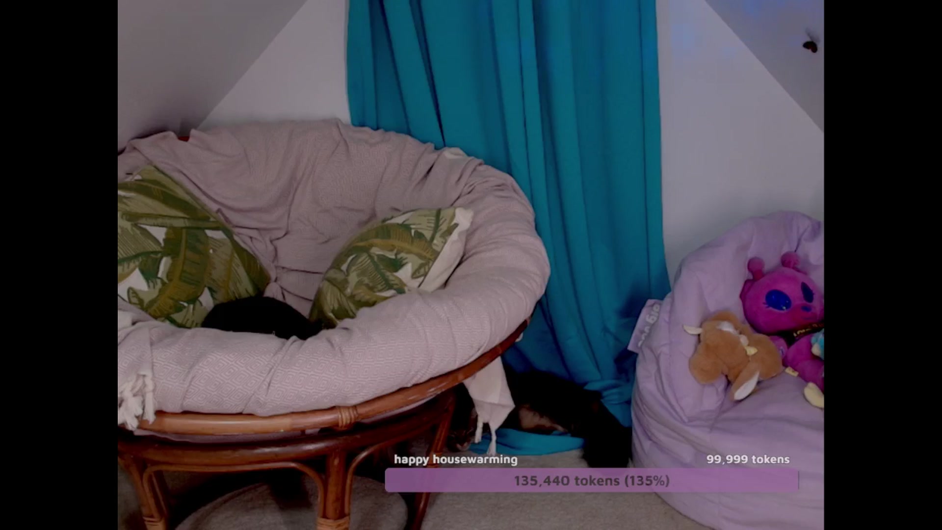 Gallery image thumbnail from NaomiDee's myfreecams stream on, 10/13/2024, 09:25 image 15 of 20