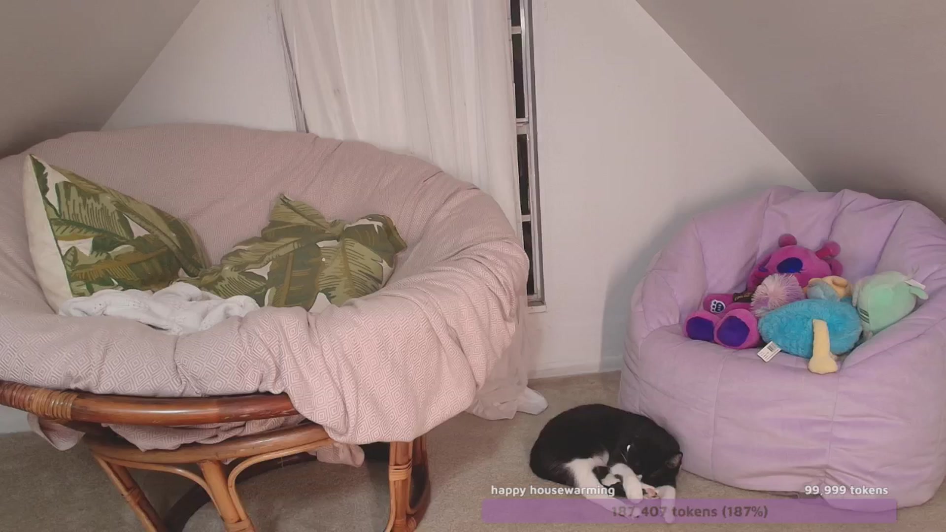 Gallery image thumbnail from NaomiDee's myfreecams stream on, 10/26/2024, 09:35 image 17 of 20