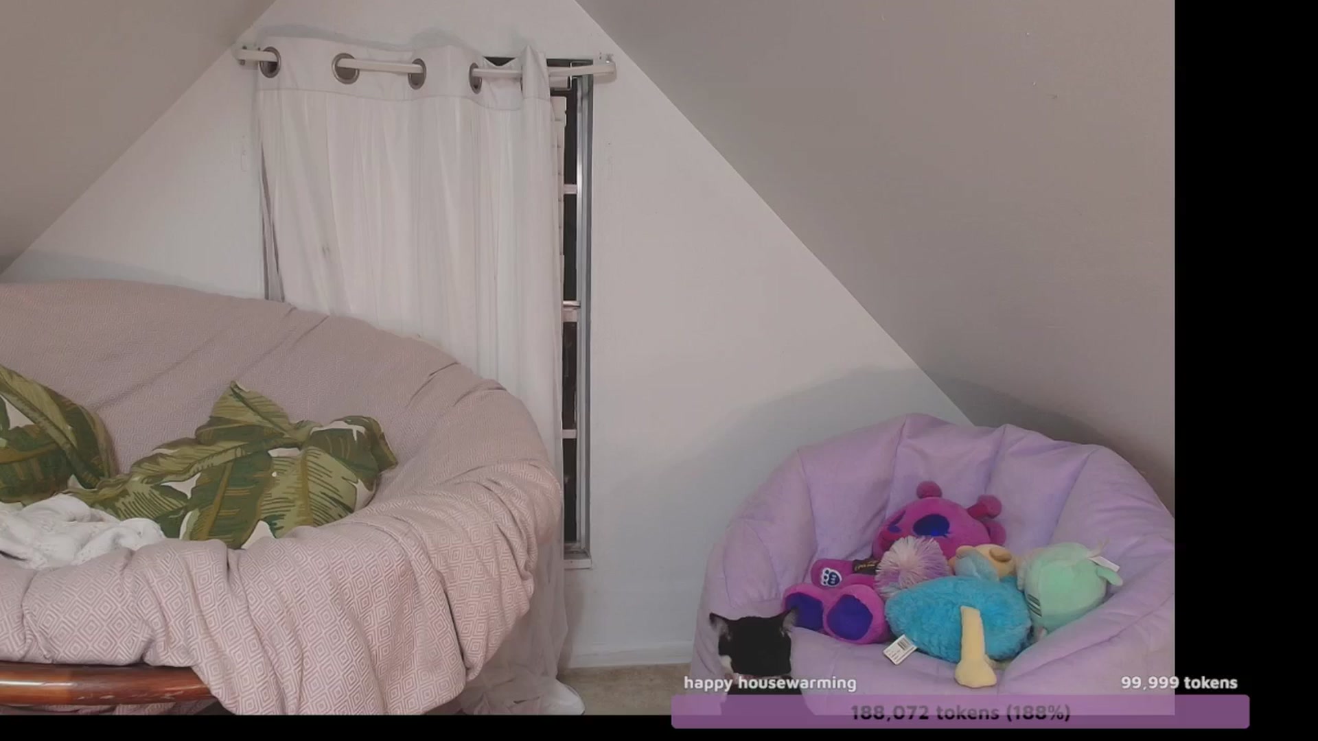 Gallery image thumbnail from NaomiDee's myfreecams stream on, 10/26/2024, 11:09 image 11 of 20