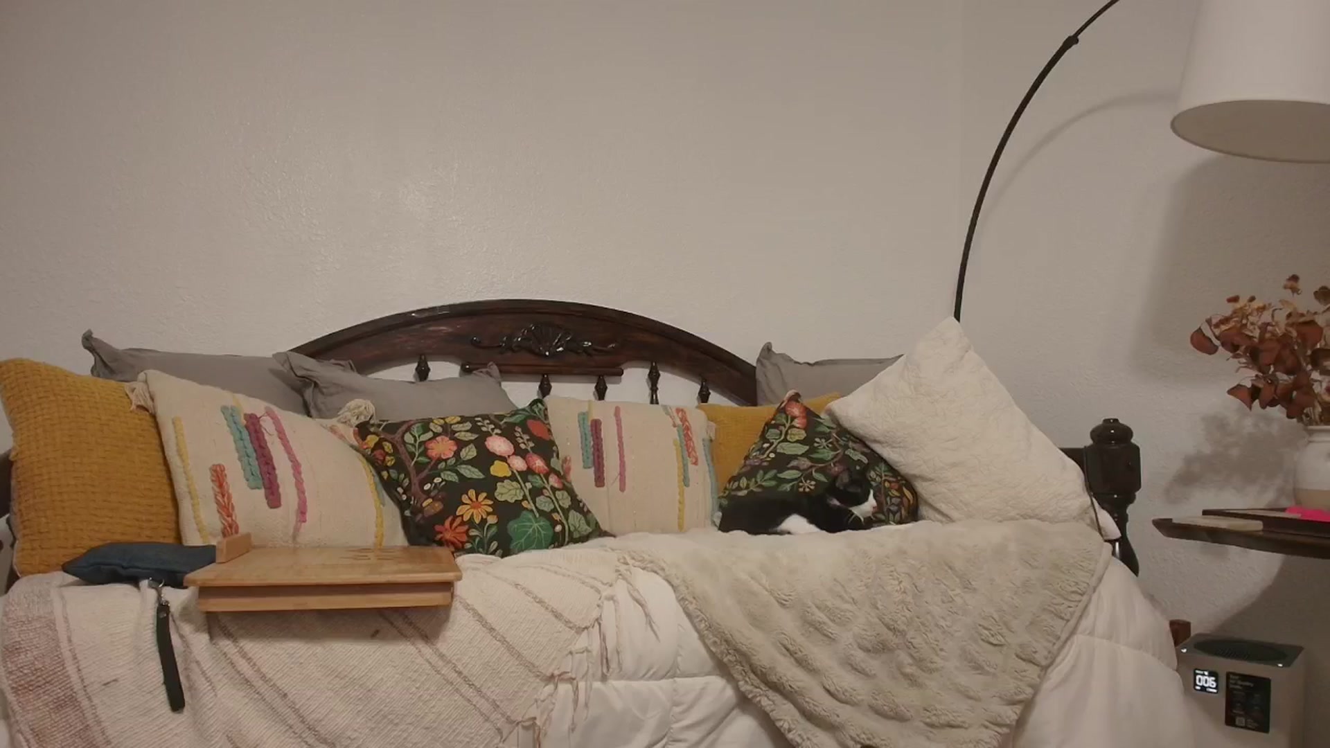 Gallery image thumbnail from NaomiDee's myfreecams stream on, 01/25/2025, 08:47 image 15 of 20