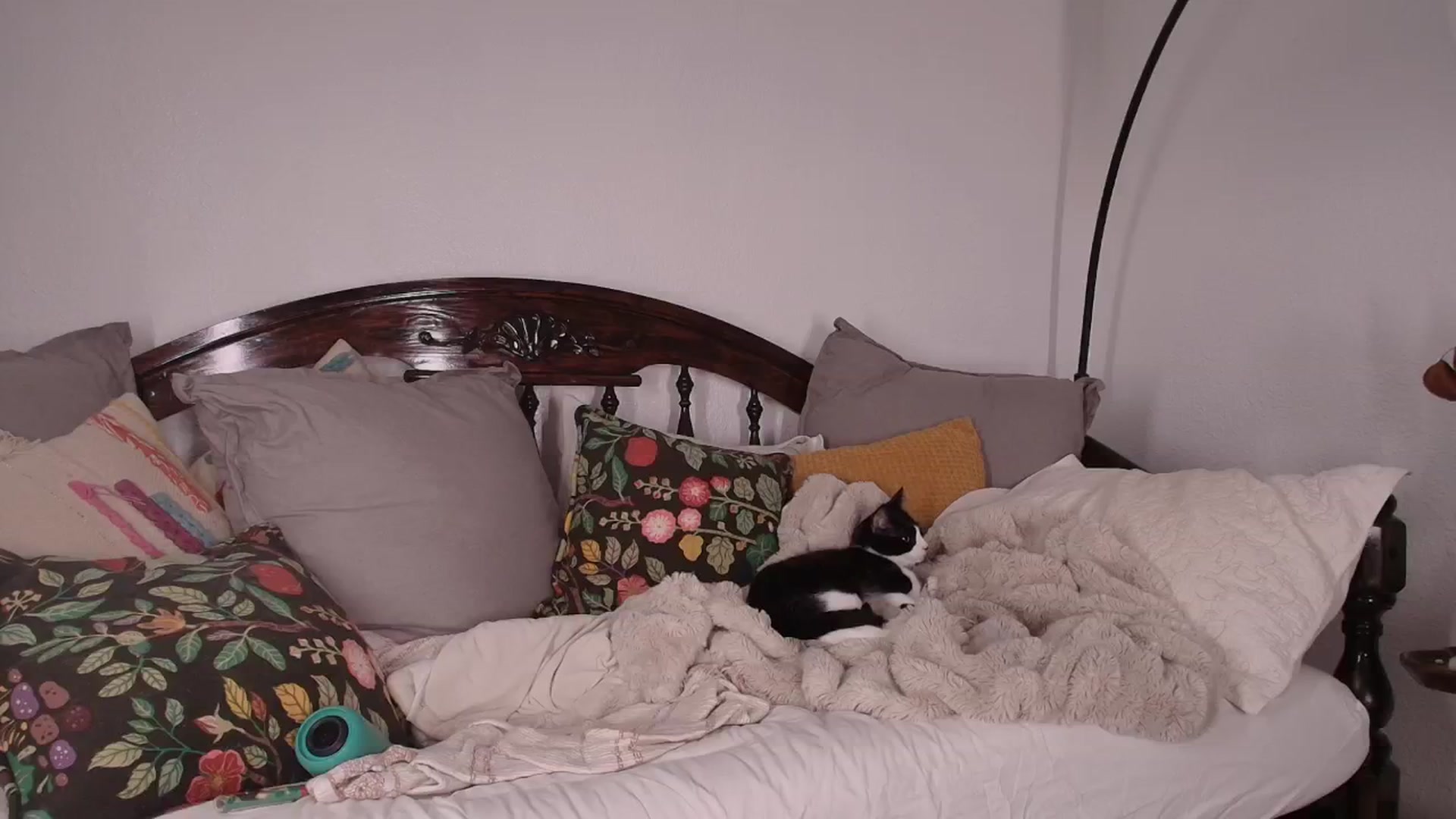 Gallery image thumbnail from NaomiDee's myfreecams stream on, 01/30/2025, 07:21 image 7 of 20