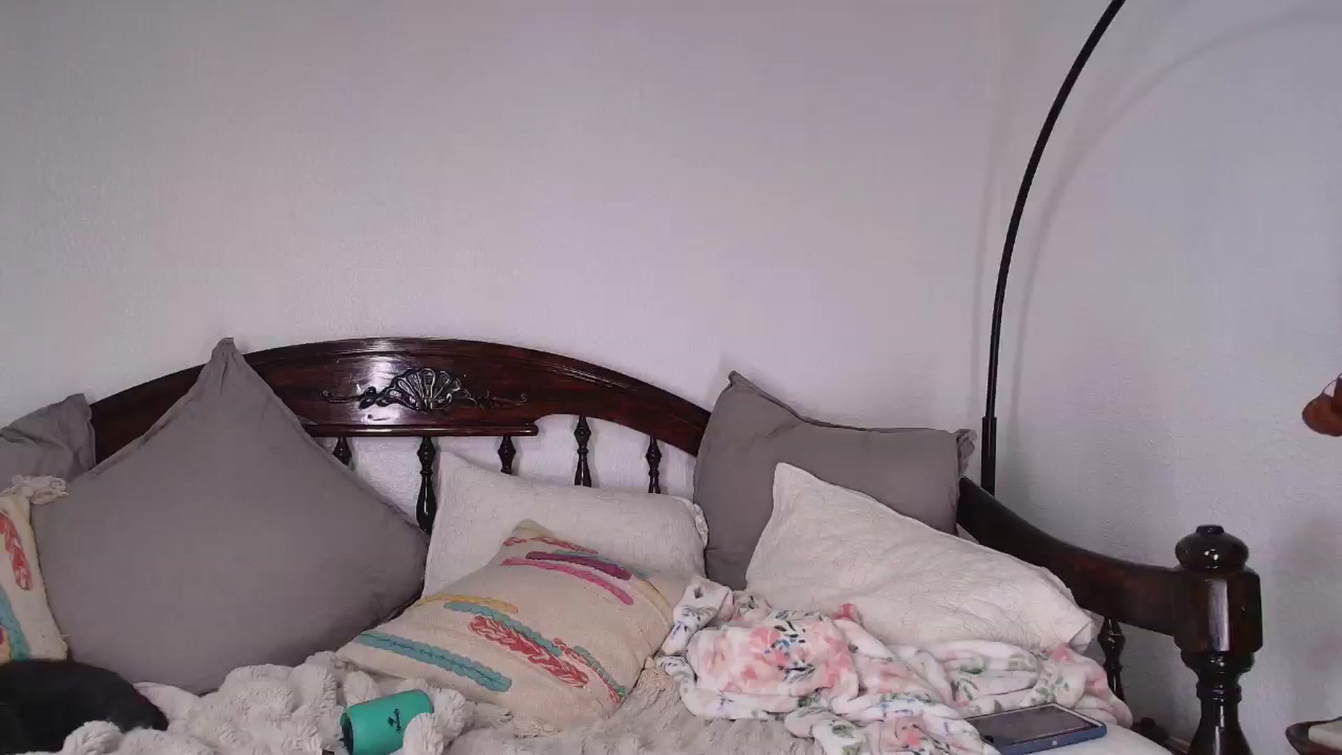 Gallery image thumbnail from NaomiDee's myfreecams stream on, 02/01/2025, 08:35 image 9 of 20