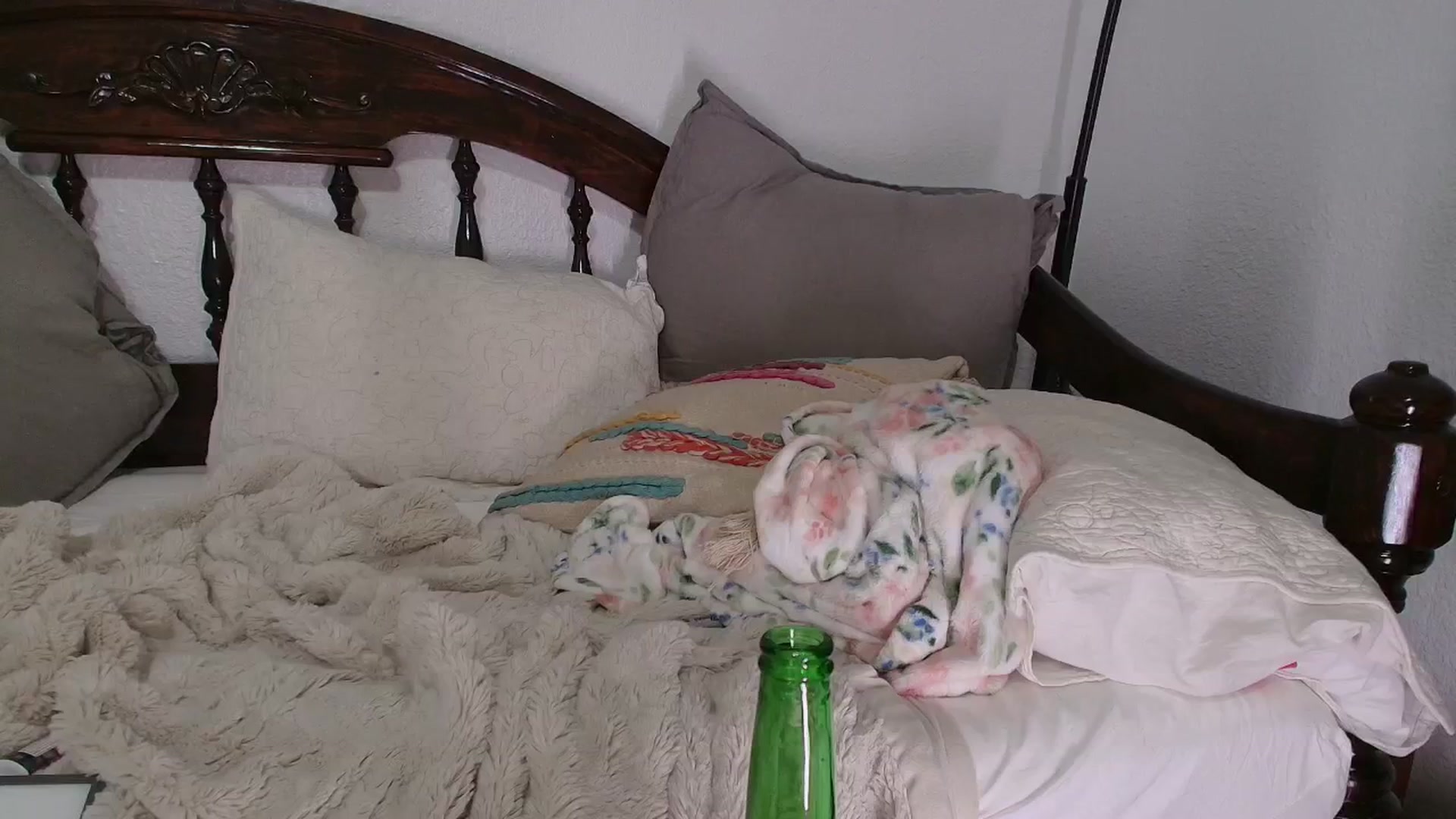 Gallery image thumbnail from NaomiDee's myfreecams stream on, 02/01/2025, 09:35 image 11 of 20