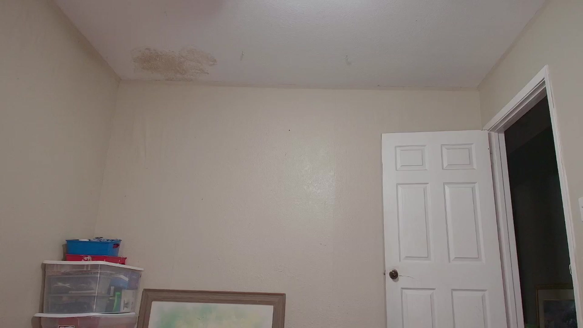 Gallery image thumbnail from NaomiDee's myfreecams stream on, 02/05/2025, 05:31 image 16 of 20