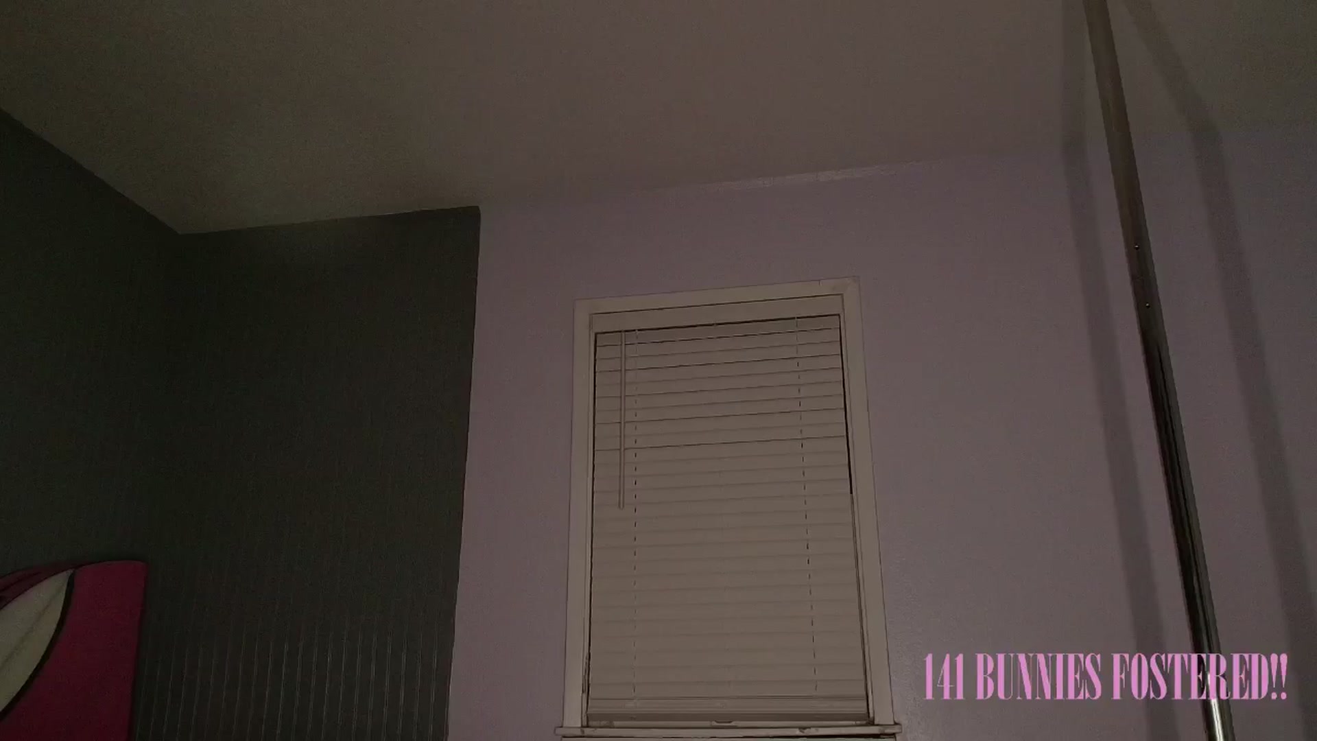 Gallery image thumbnail from NaomiDee's myfreecams stream on, 03/08/2025, 06:50 image 5 of 20