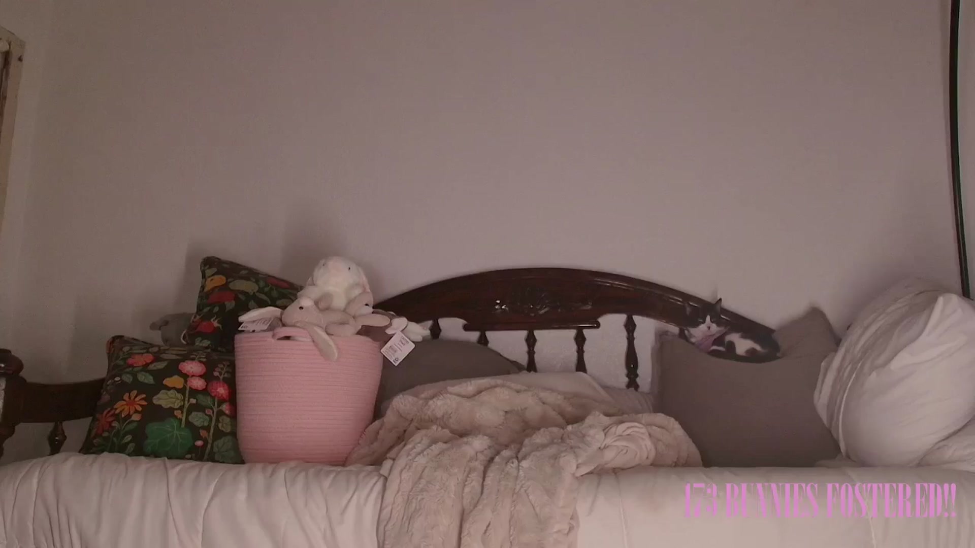 Gallery image thumbnail from NaomiDee's myfreecams stream on, 03/09/2025, 07:02 image 4 of 20