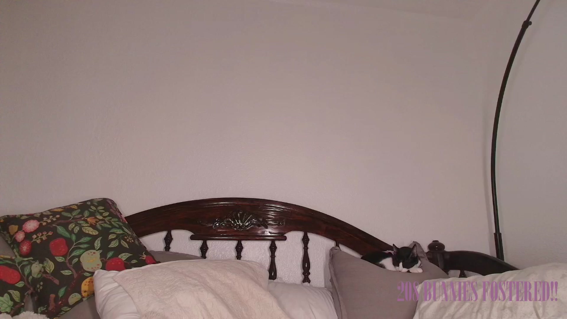 Gallery image thumbnail from NaomiDee's myfreecams stream on, 03/11/2025, 03:11 image 18 of 20