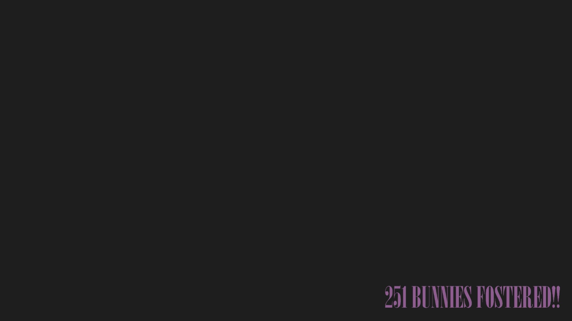 Gallery image thumbnail from NaomiDee's myfreecams stream on, 04/04/2025, 01:27 image 6 of 20