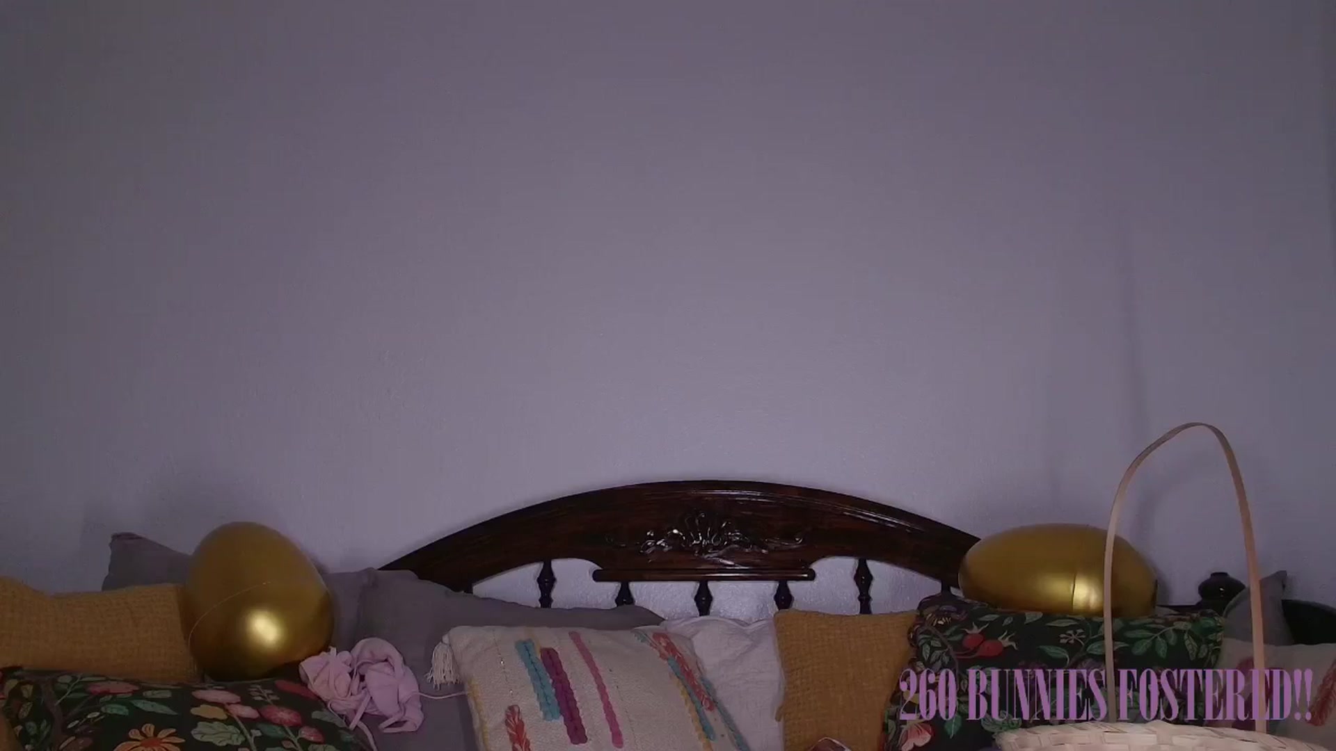 Gallery image thumbnail from NaomiDee's myfreecams stream on, 04/04/2025, 03:29 image 17 of 20