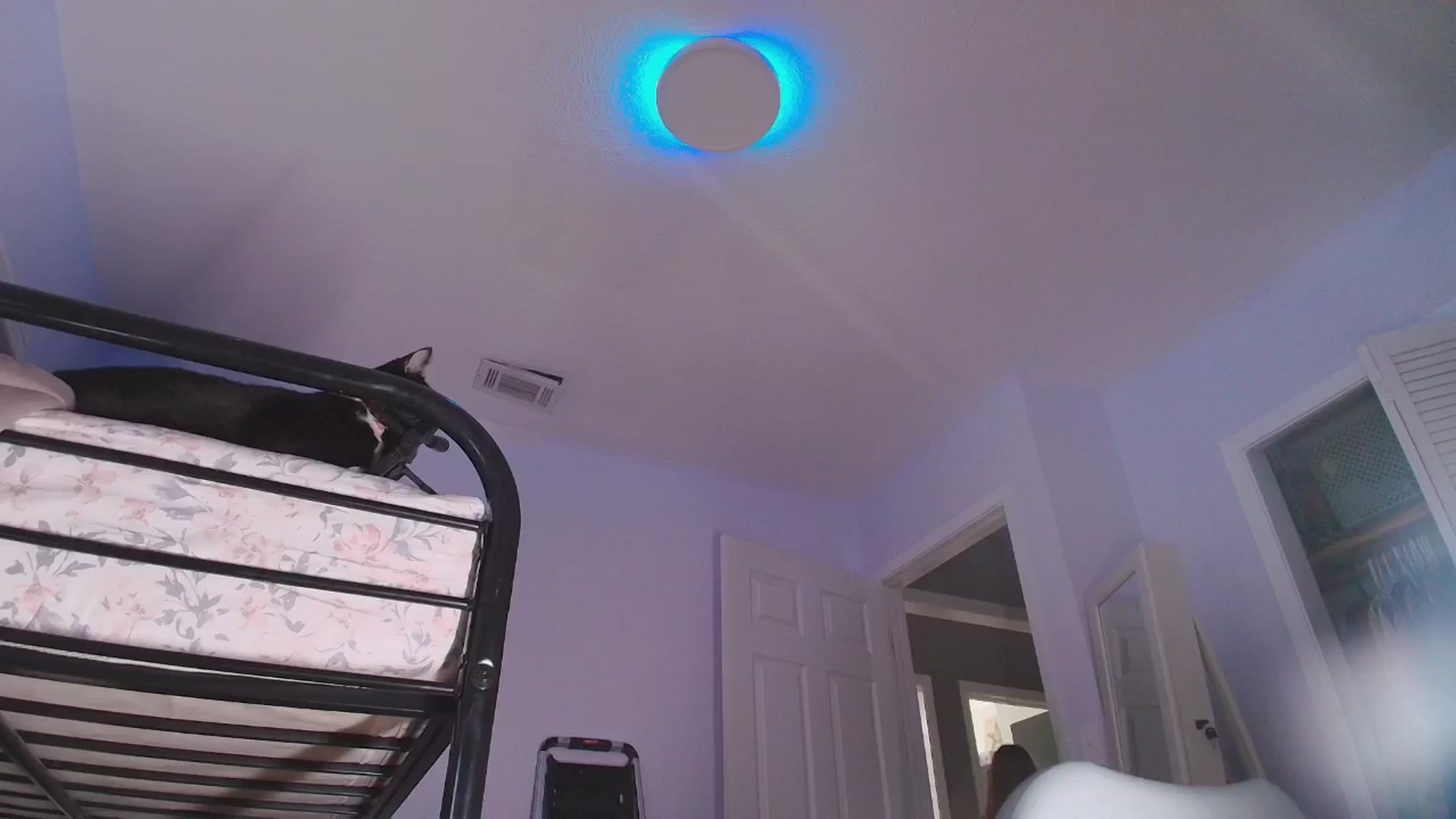 Gallery image thumbnail from NaomiDee's myfreecams stream on, 08/02/2025, 10:46 image 8 of 20