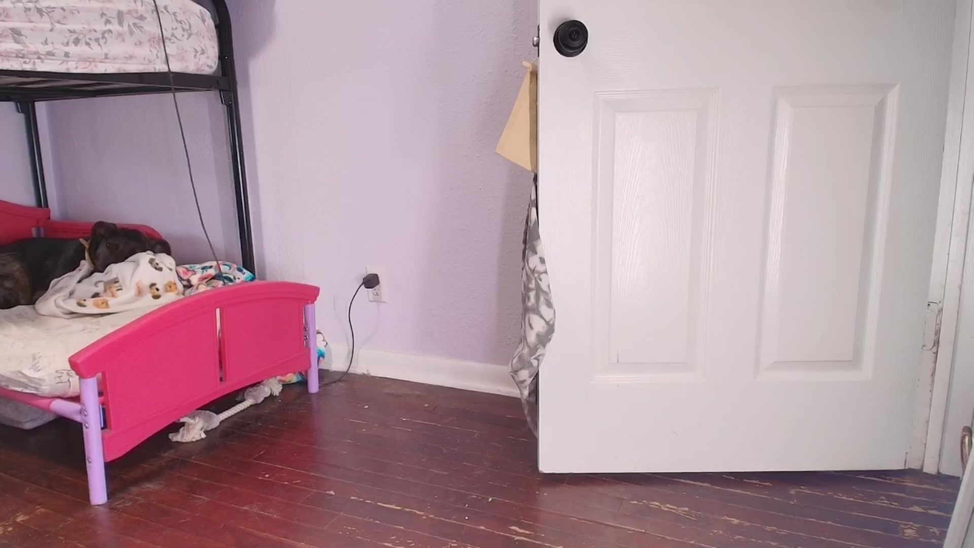 Gallery image thumbnail from NaomiDee's myfreecams stream on, 08/15/2025, 23:15 image 10 of 20