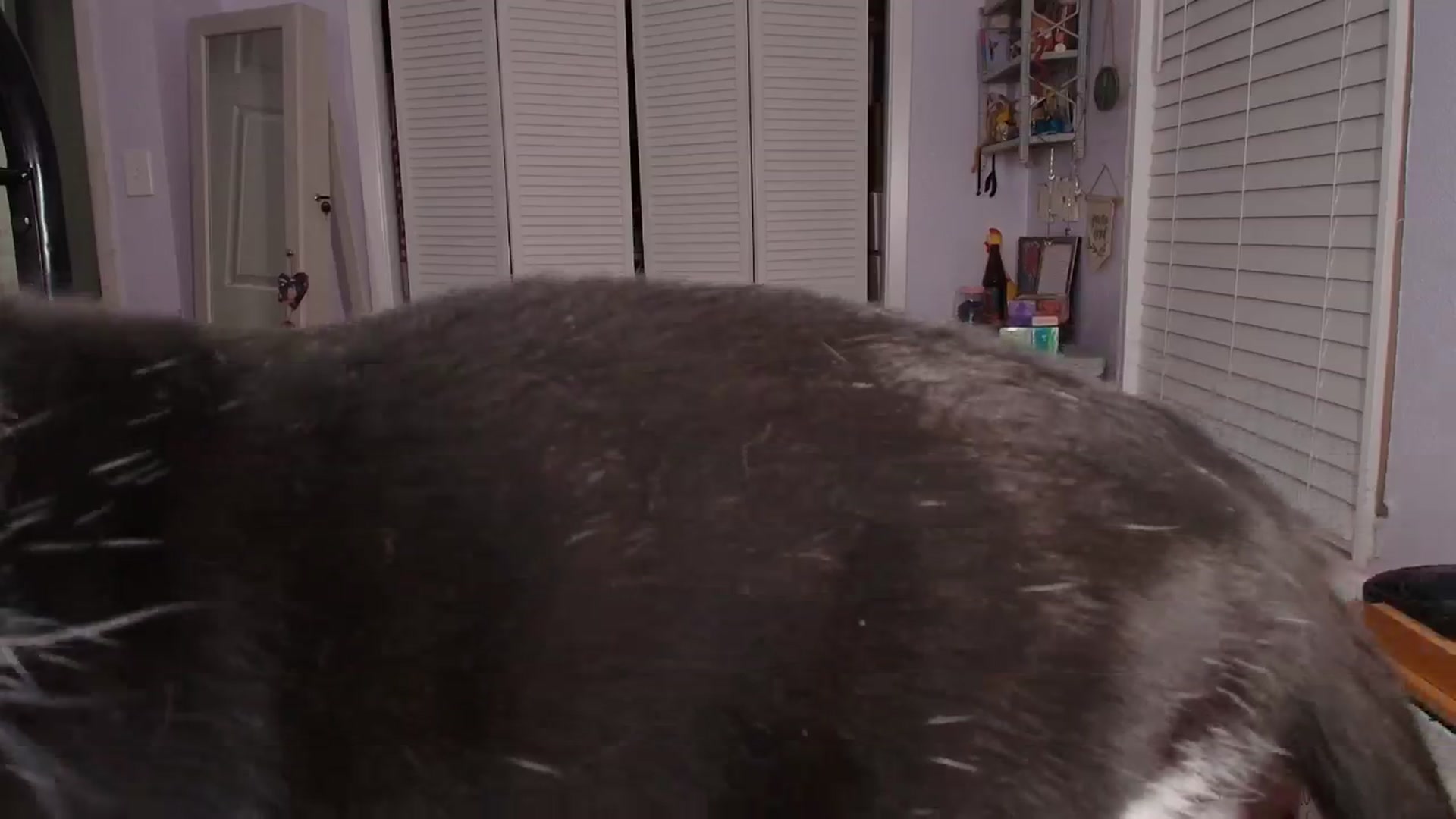 Gallery image thumbnail from NaomiDee's myfreecams stream on, 09/07/2025, 07:36 image 8 of 20