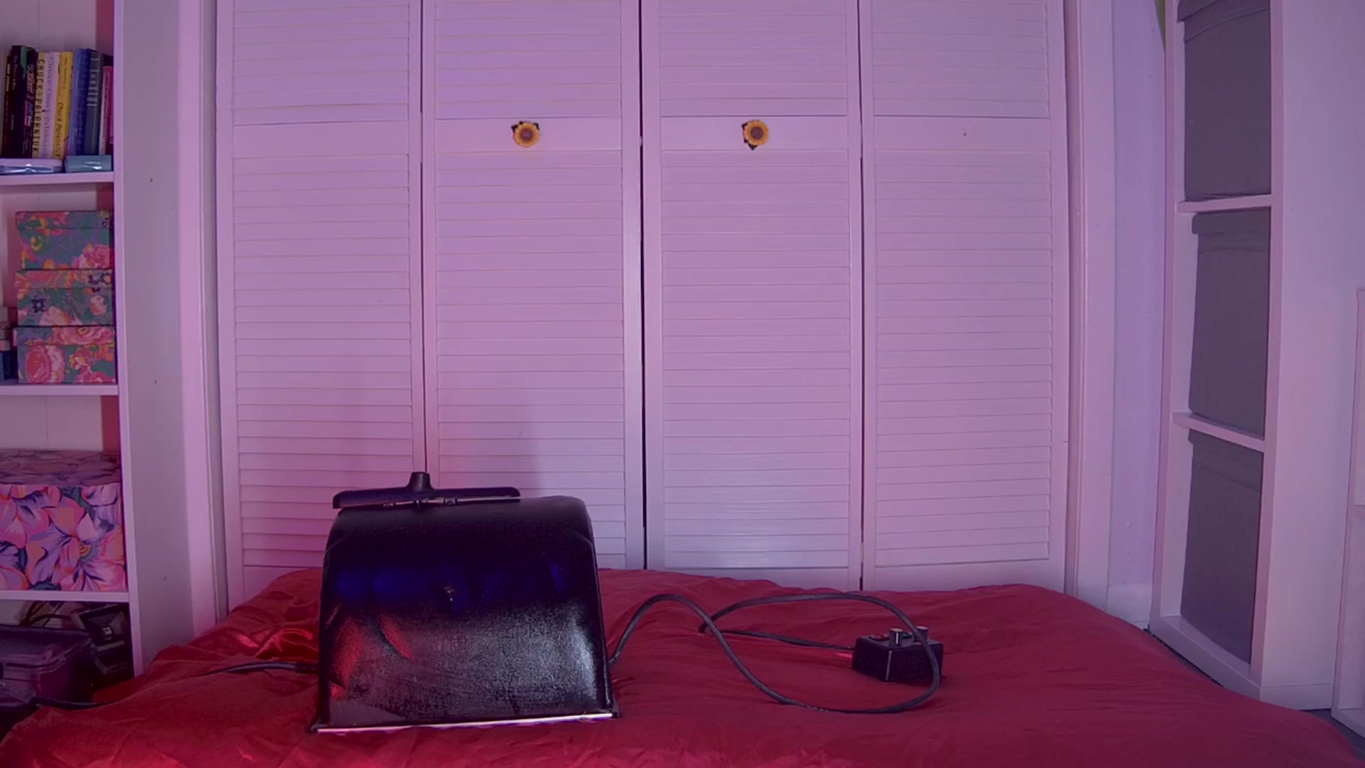 Gallery image thumbnail from NaomiDee's myfreecams stream on, 11/01/2025, 05:56 image 20 of 20