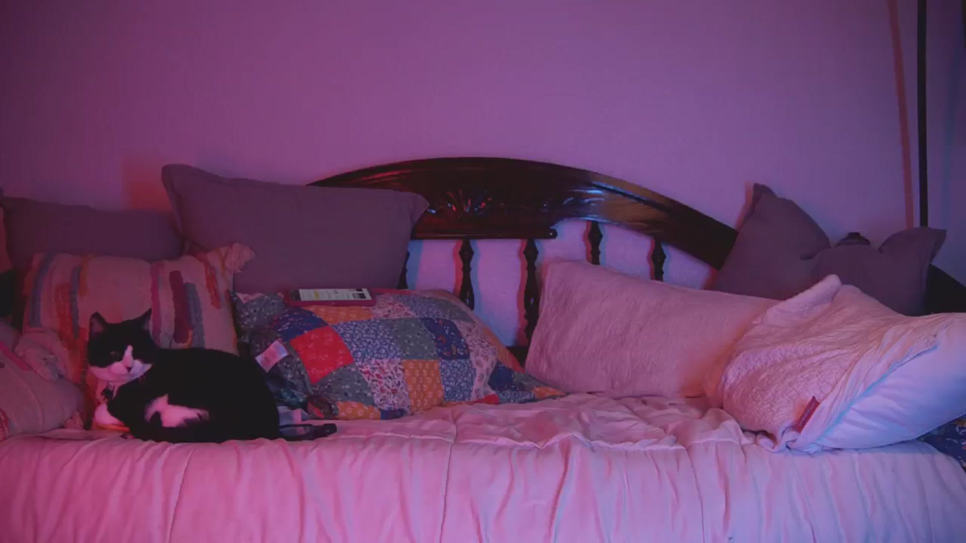 Gallery image thumbnail from NaomiDee's myfreecams stream on, 11/21/2025, 09:54 image 15 of 20