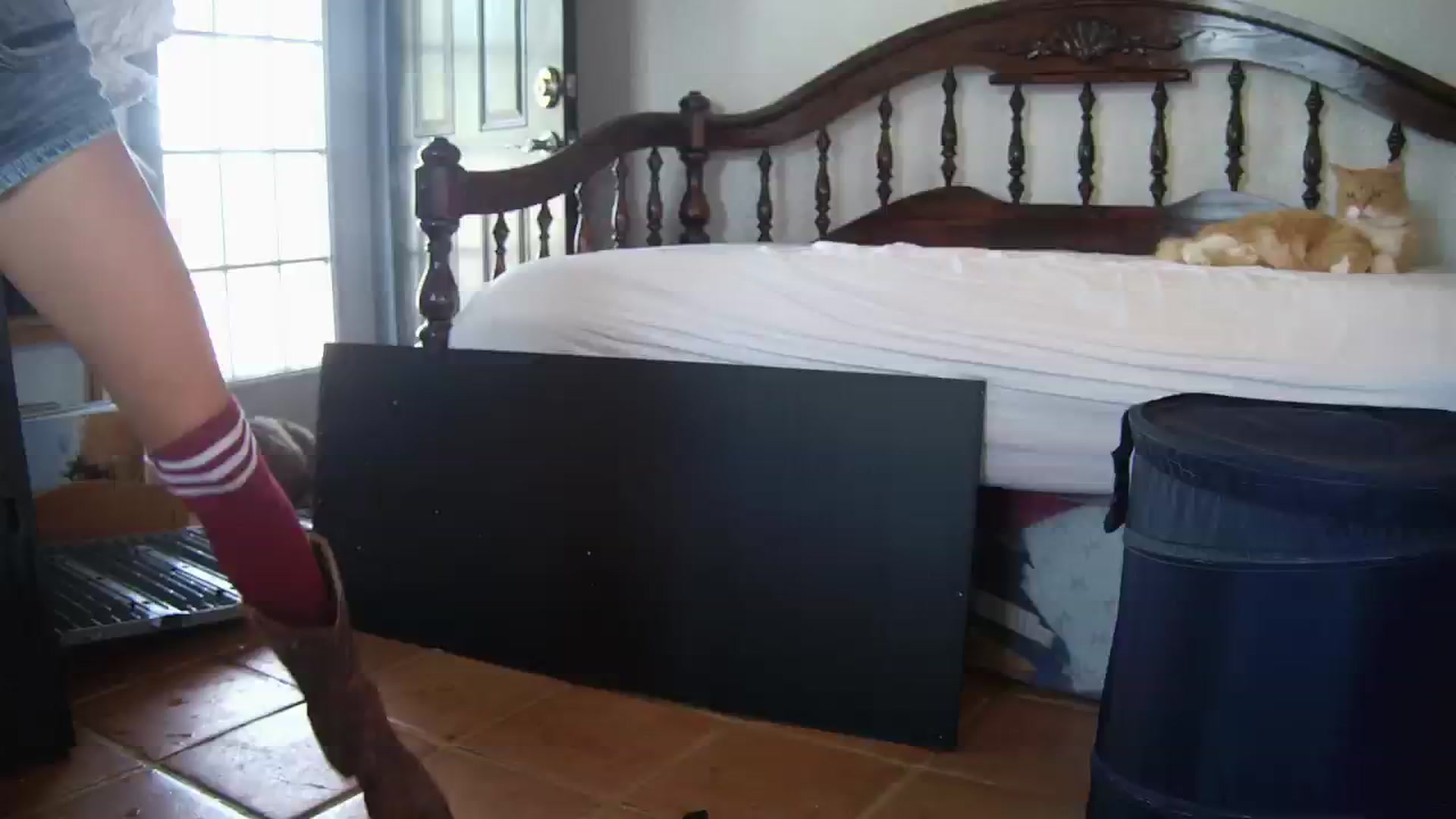 Gallery image thumbnail from NaomiDee's myfreecams stream on, 12/03/2025, 24:04 image 1 of 20