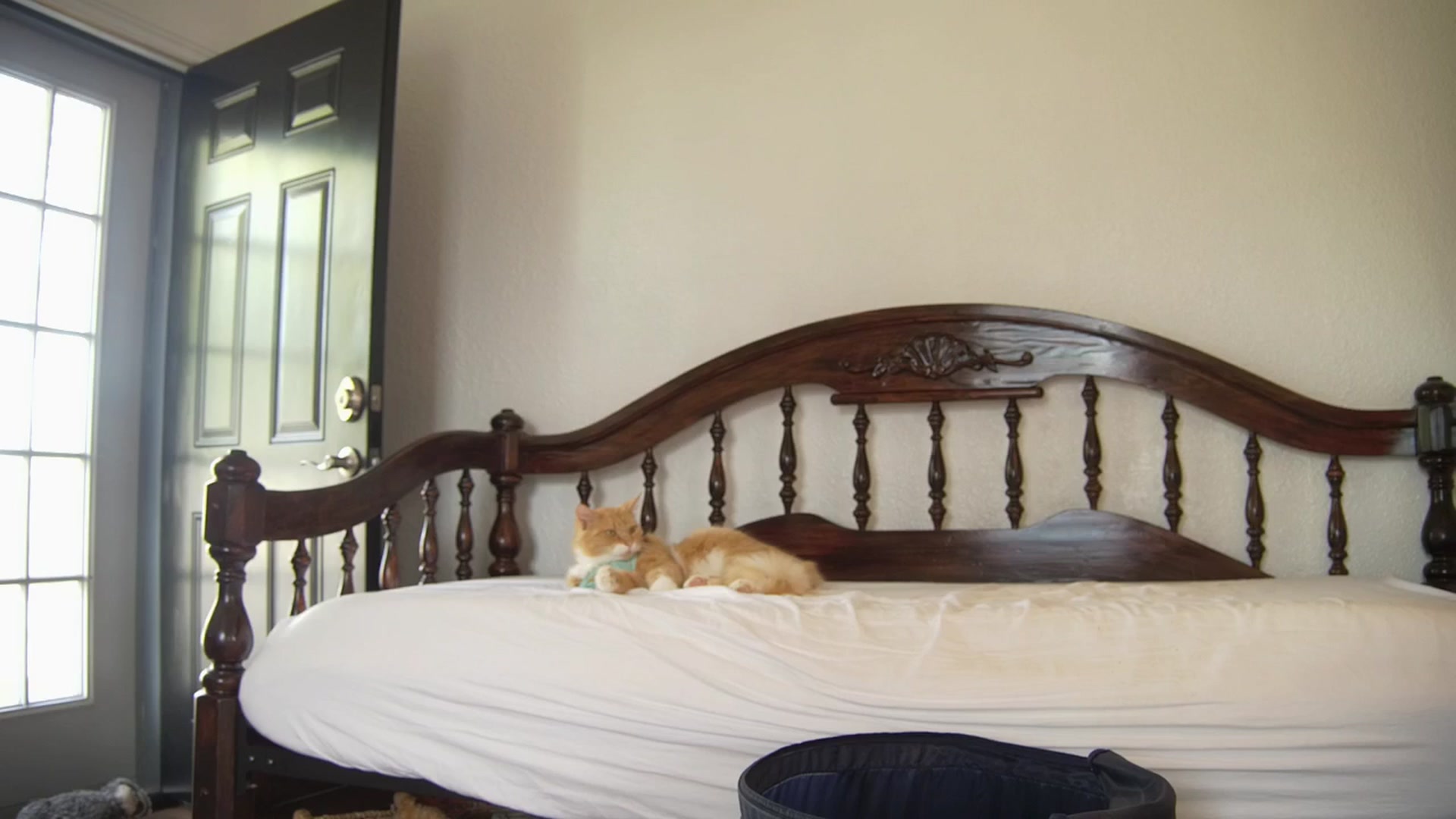 Gallery image thumbnail from NaomiDee's myfreecams stream on, 12/03/2025, 24:04 image 8 of 20