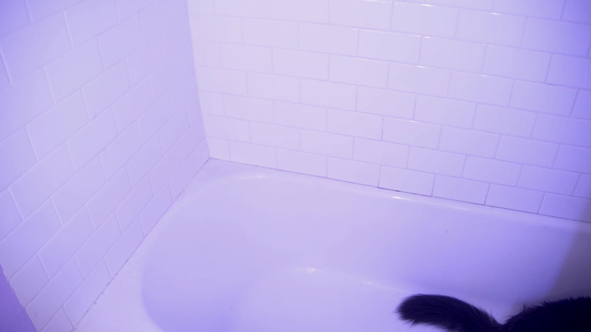 Gallery image thumbnail from NaomiDee's myfreecams stream on, 12/13/2025, 07:00 image 13 of 20