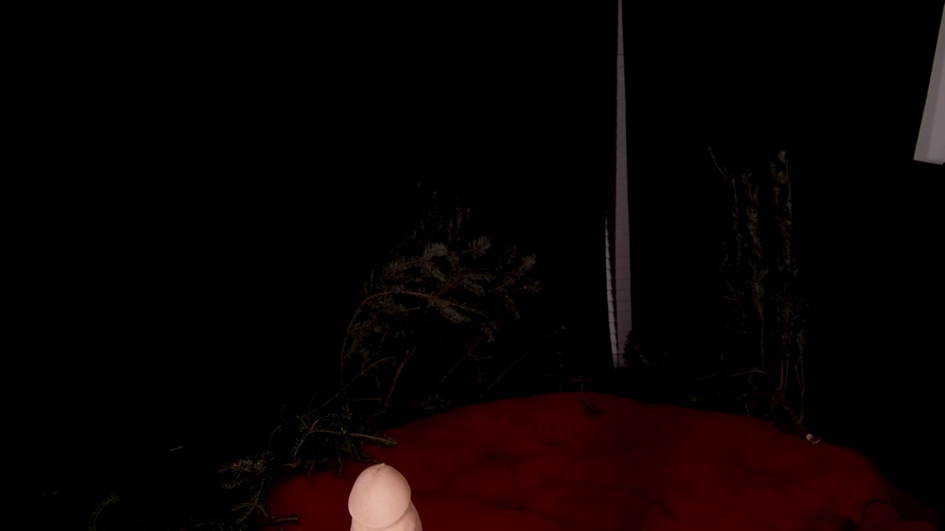 Gallery image thumbnail from NaomiDee's myfreecams stream on, 12/15/2025, 08:57 image 20 of 20