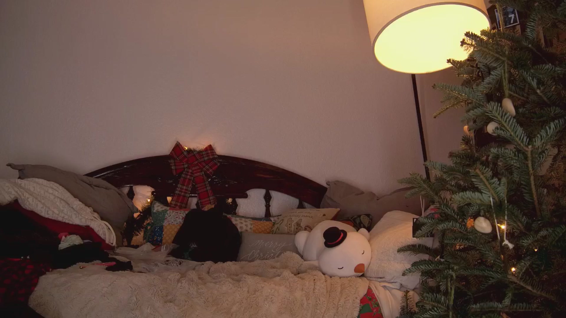 Gallery image thumbnail from NaomiDee's myfreecams stream on, 12/17/2025, 09:02 image 12 of 20