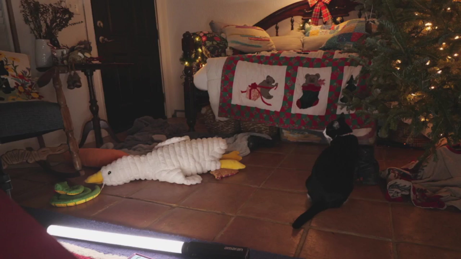 Gallery image thumbnail from NaomiDee's myfreecams stream on, 01/04/2026, 07:14 image 2 of 20