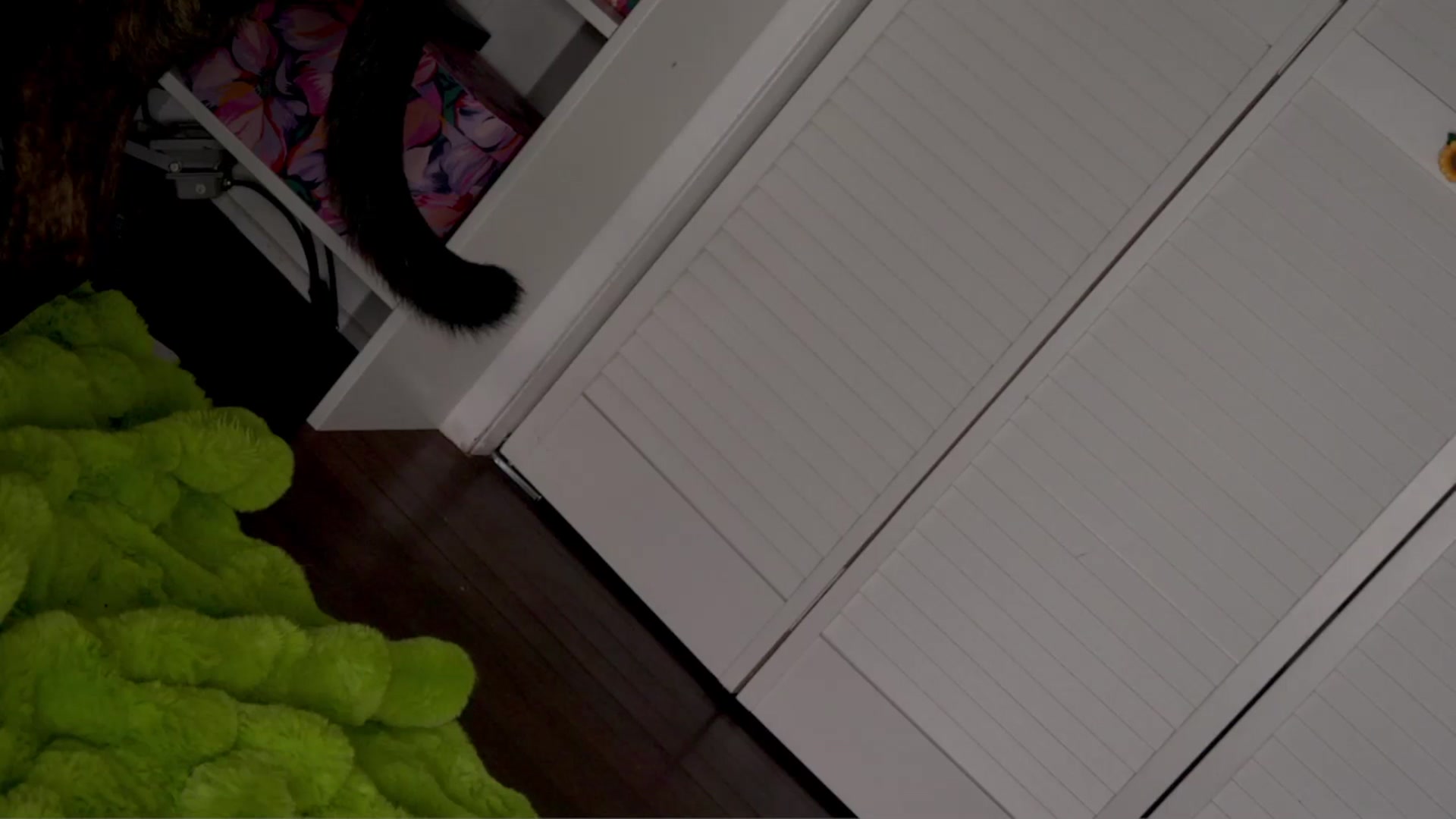 Gallery image thumbnail from NaomiDee's myfreecams stream on, 01/30/2026, 06:40 image 18 of 20