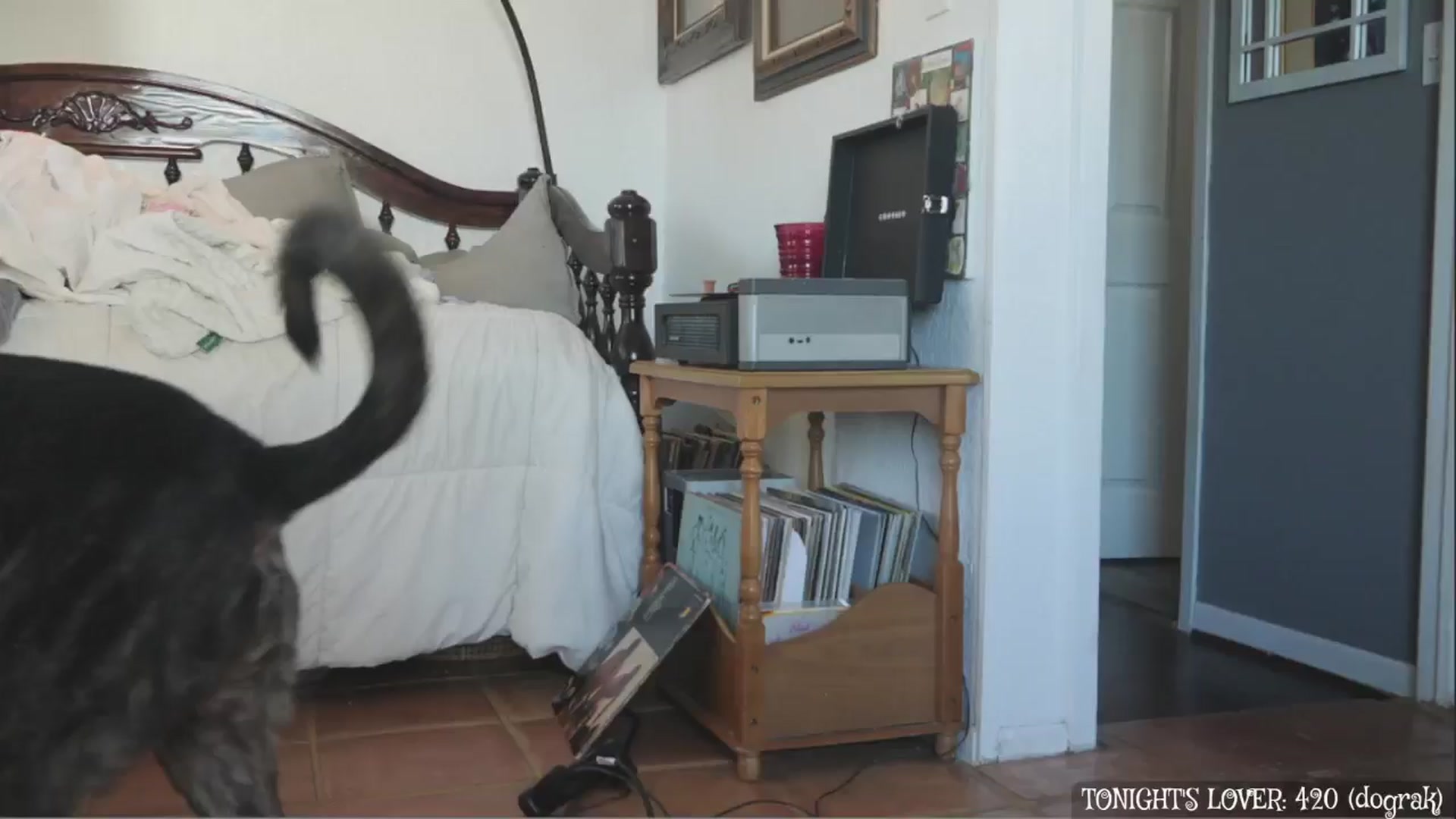 Gallery image thumbnail from NaomiDee's myfreecams stream on, 02/06/2026, 17:18 image 17 of 20