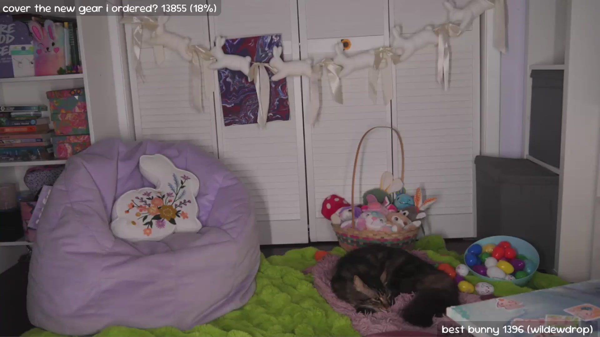 Gallery image thumbnail from NaomiDee's myfreecams stream on, 03/07/2026, 05:29 image 7 of 20