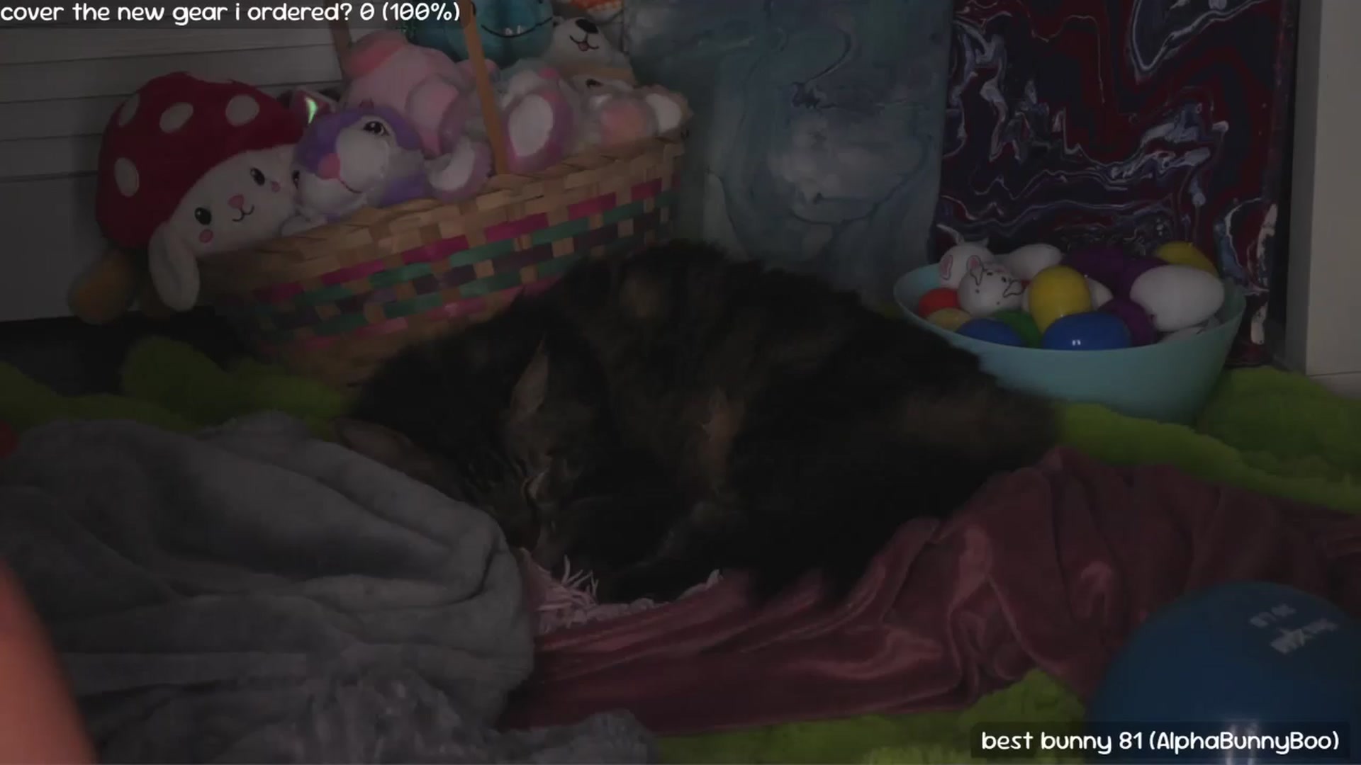 Gallery image thumbnail from NaomiDee's myfreecams stream on, 03/07/2026, 09:27 image 11 of 20