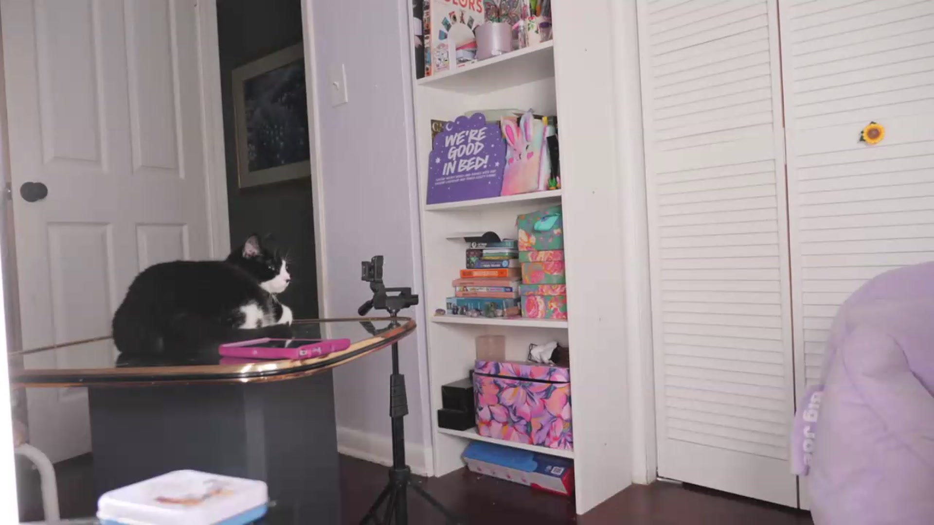 Gallery image thumbnail from NaomiDee's myfreecams stream on, 05/01/2026, 08:35 image 14 of 20