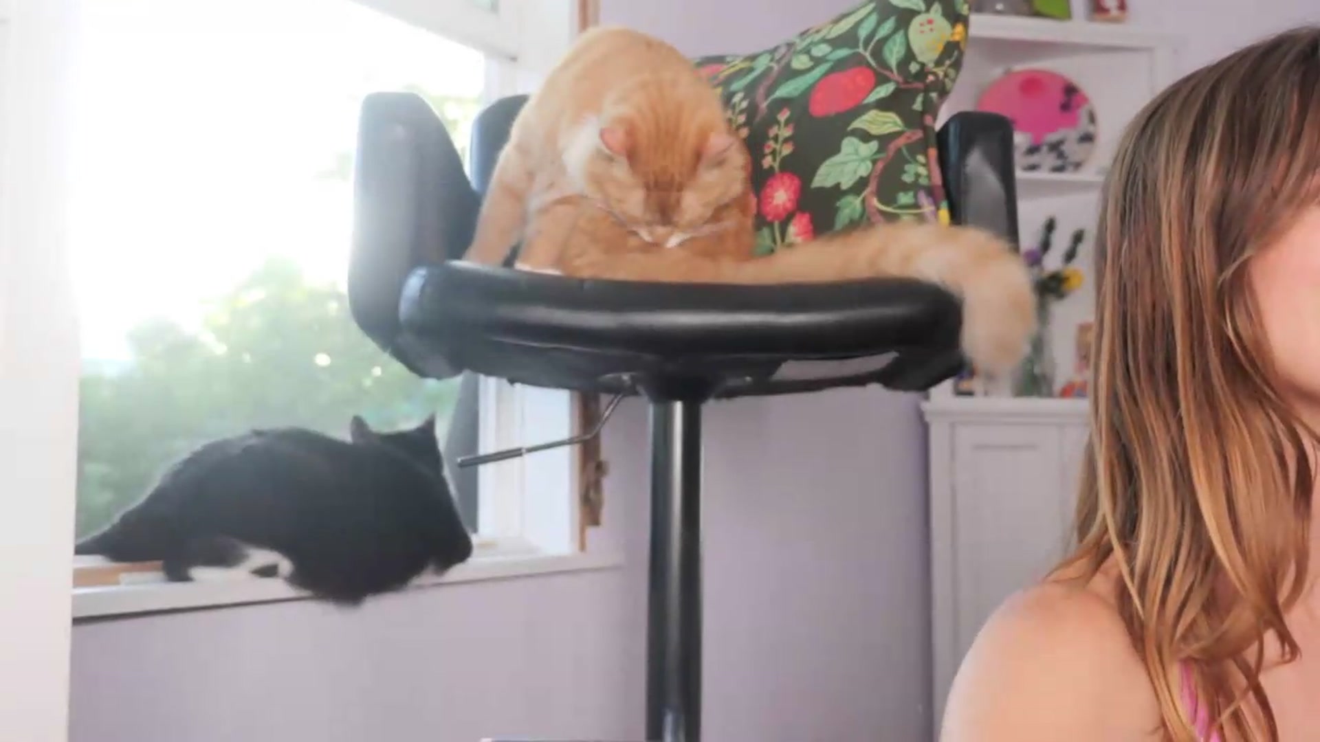 Gallery image thumbnail from NaomiDee's myfreecams stream on, 05/25/2026, 24:48 image 3 of 20
