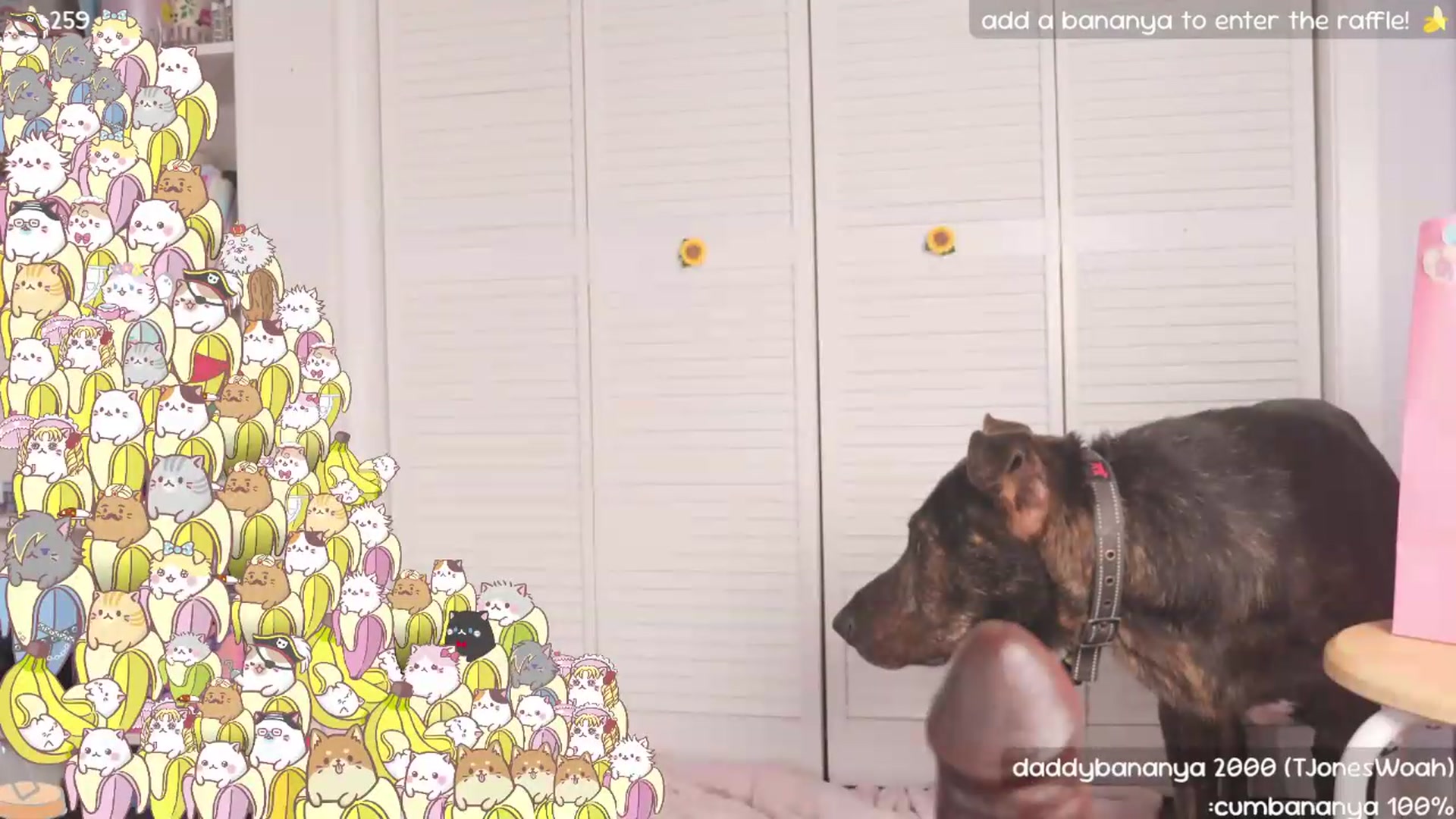 Gallery image thumbnail from NaomiDee's myfreecams stream on, 07/11/2026, 07:27 image 18 of 20
