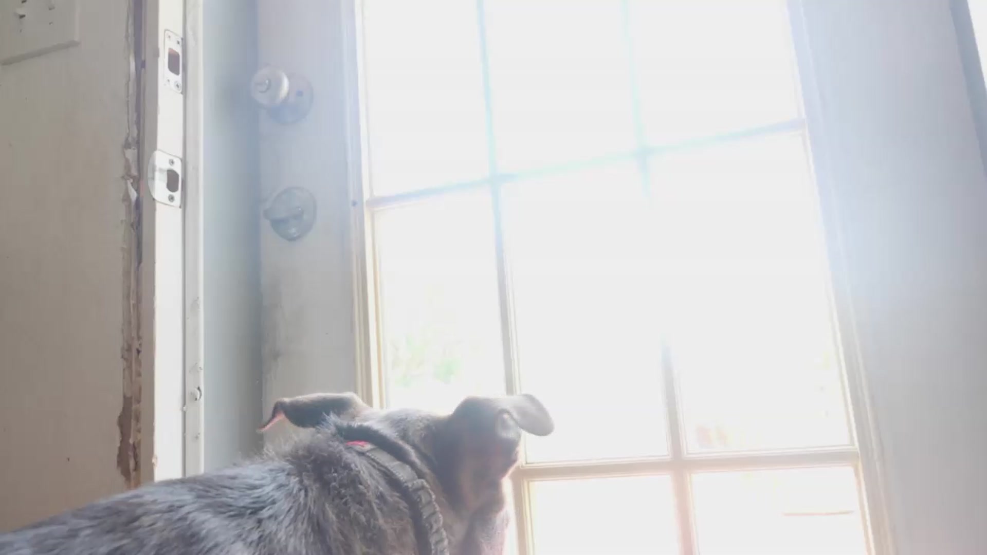 Gallery image thumbnail from NaomiDee's myfreecams stream on, 07/22/2026, 21:17 image 6 of 20
