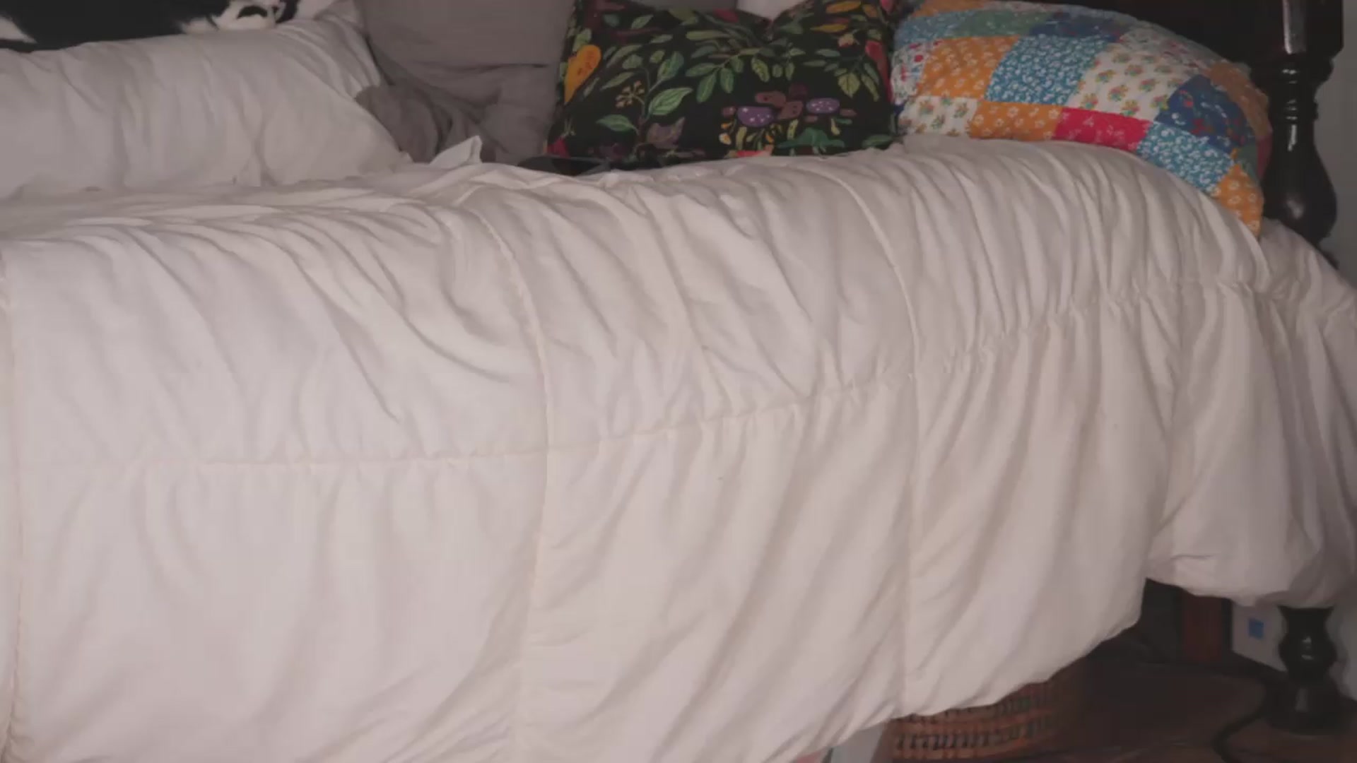 Gallery image thumbnail from NaomiDee's myfreecams stream on, 08/05/2026, 11:21 image 9 of 20