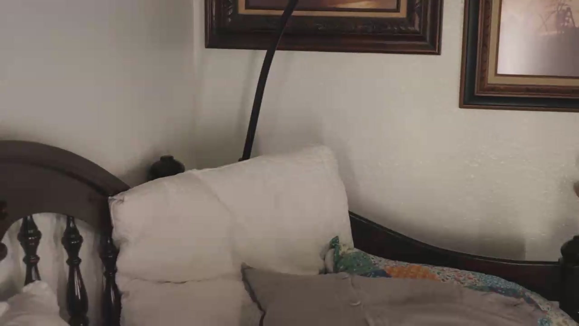 Gallery image thumbnail from NaomiDee's myfreecams stream on, 08/05/2026, 12:41 image 20 of 20