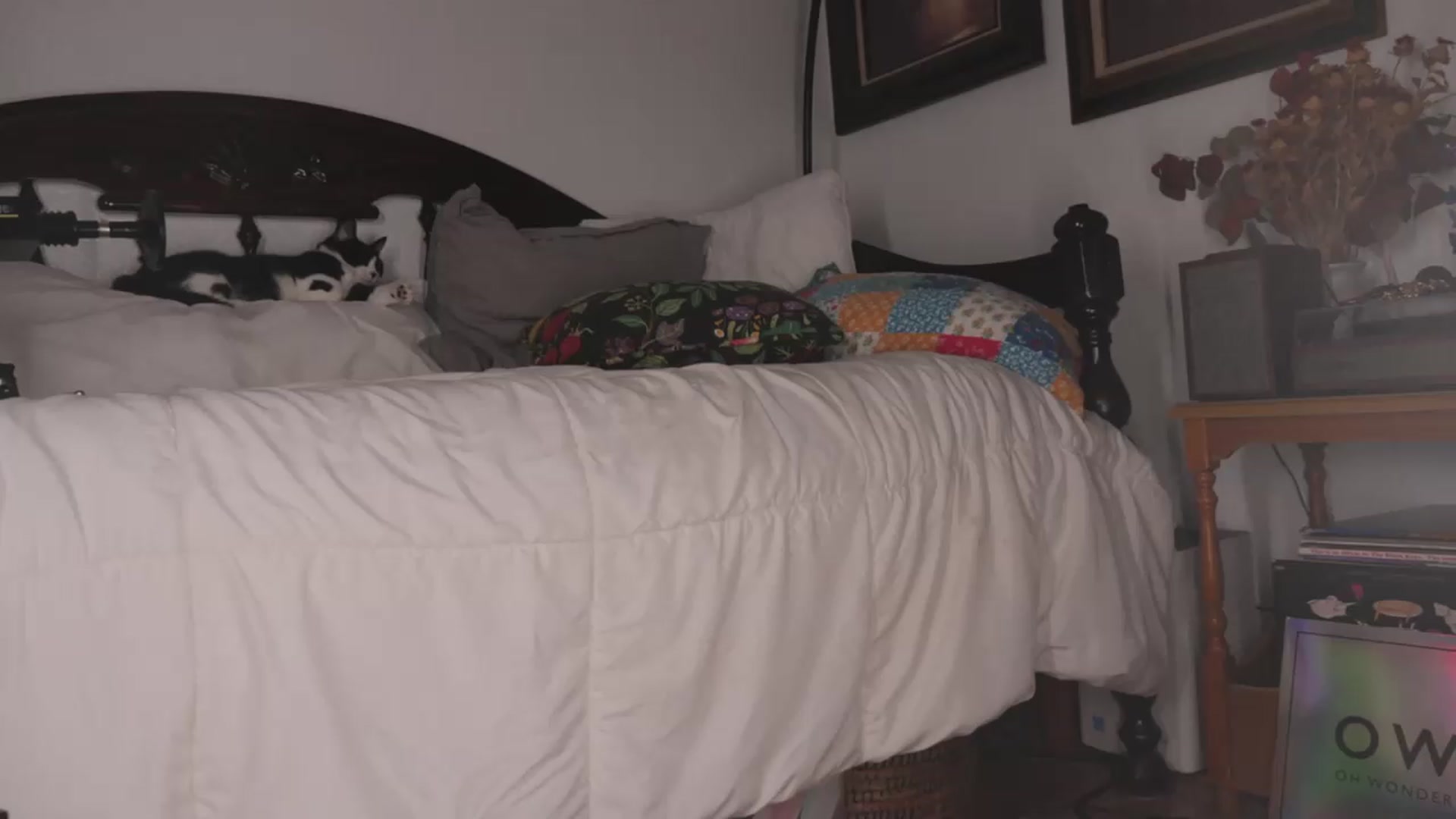 Gallery image thumbnail from NaomiDee's myfreecams stream on, 08/05/2026, 12:41 image 7 of 20