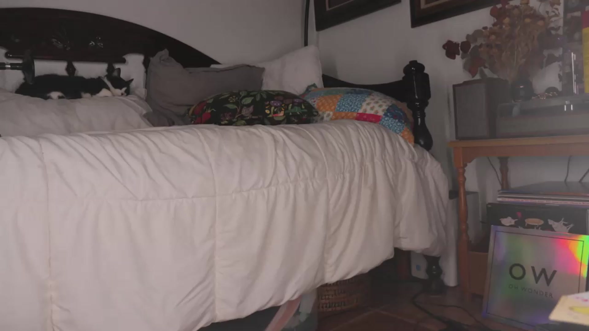 Gallery image thumbnail from NaomiDee's myfreecams stream on, 08/05/2026, 12:41 image 3 of 20