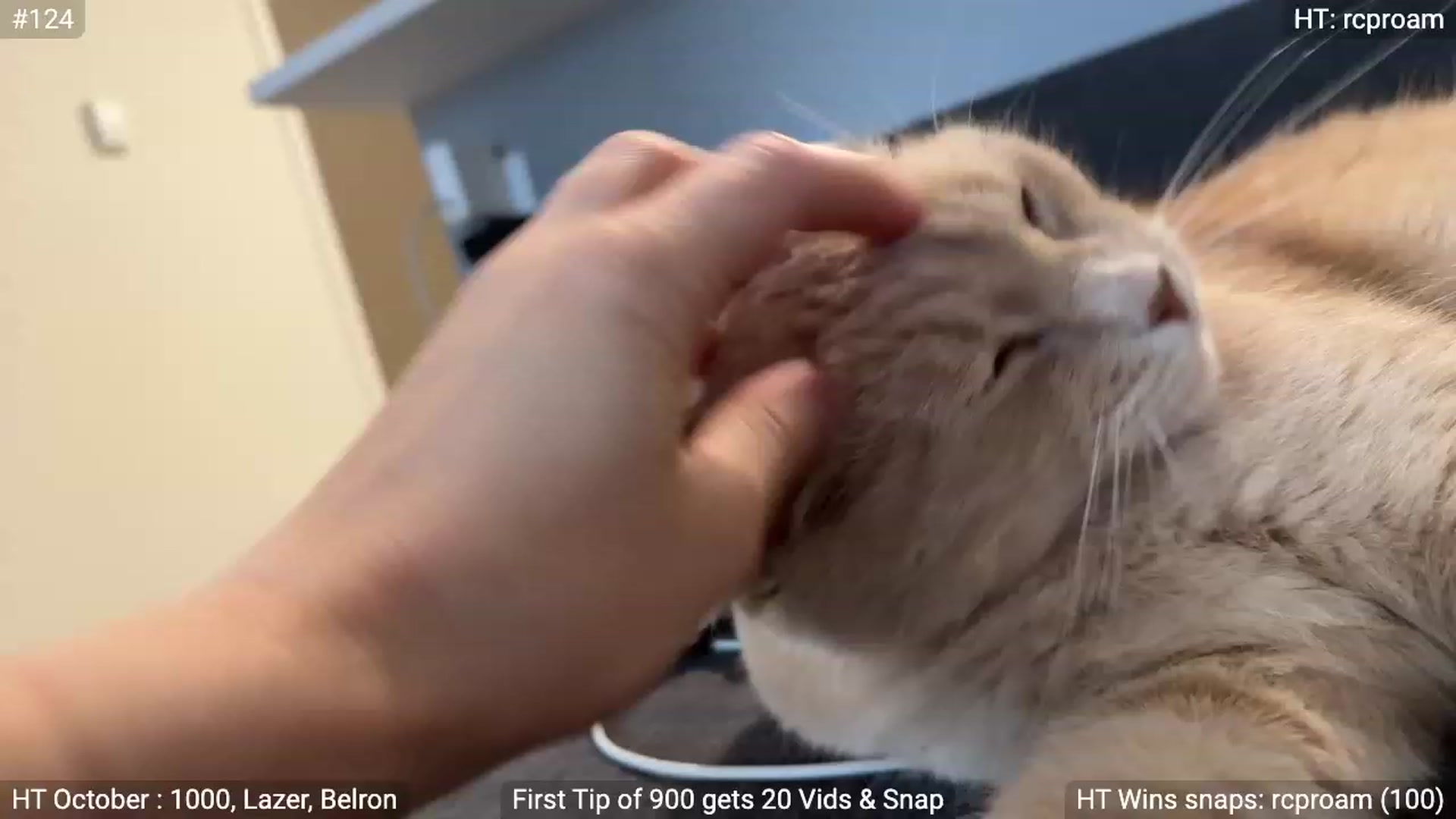 Gallery image thumbnail from NatGPT's myfreecams stream on, 10/03/2023, 22:53 image 17 of 20