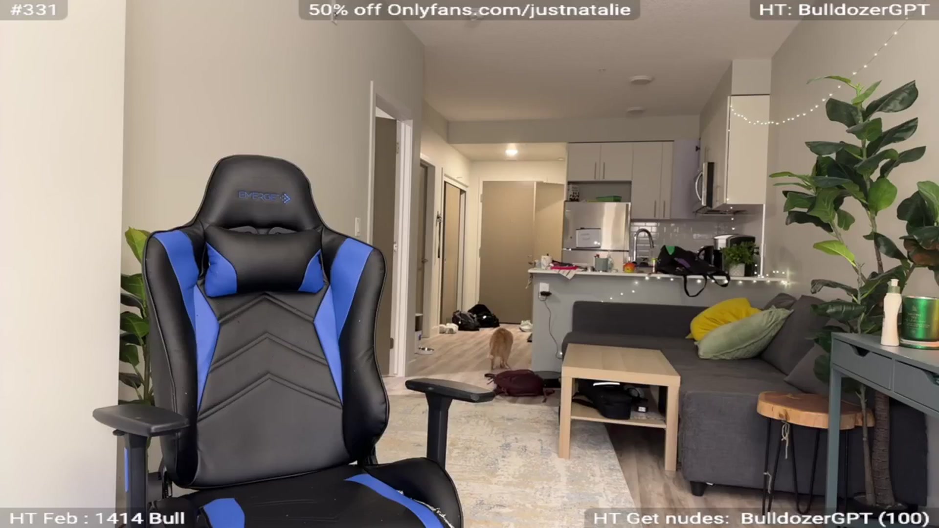 Gallery image thumbnail from NatGPT's myfreecams stream on, 02/14/2024, 24:42 image 19 of 20