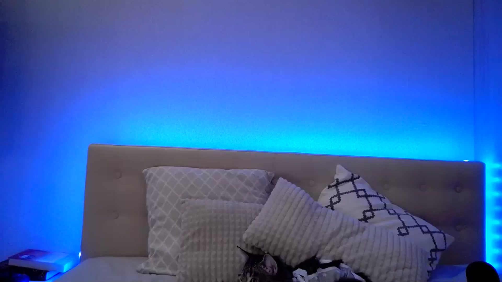 Gallery image thumbnail from Nata_u_friend's myfreecams stream on, 10/18/2024, 19:09 image 1 of 20