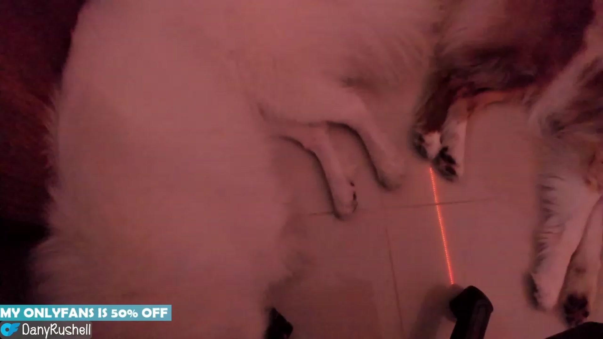 Gallery image thumbnail from NataliaMFC_'s myfreecams stream on, 08/29/2023, 05:48 image 14 of 20