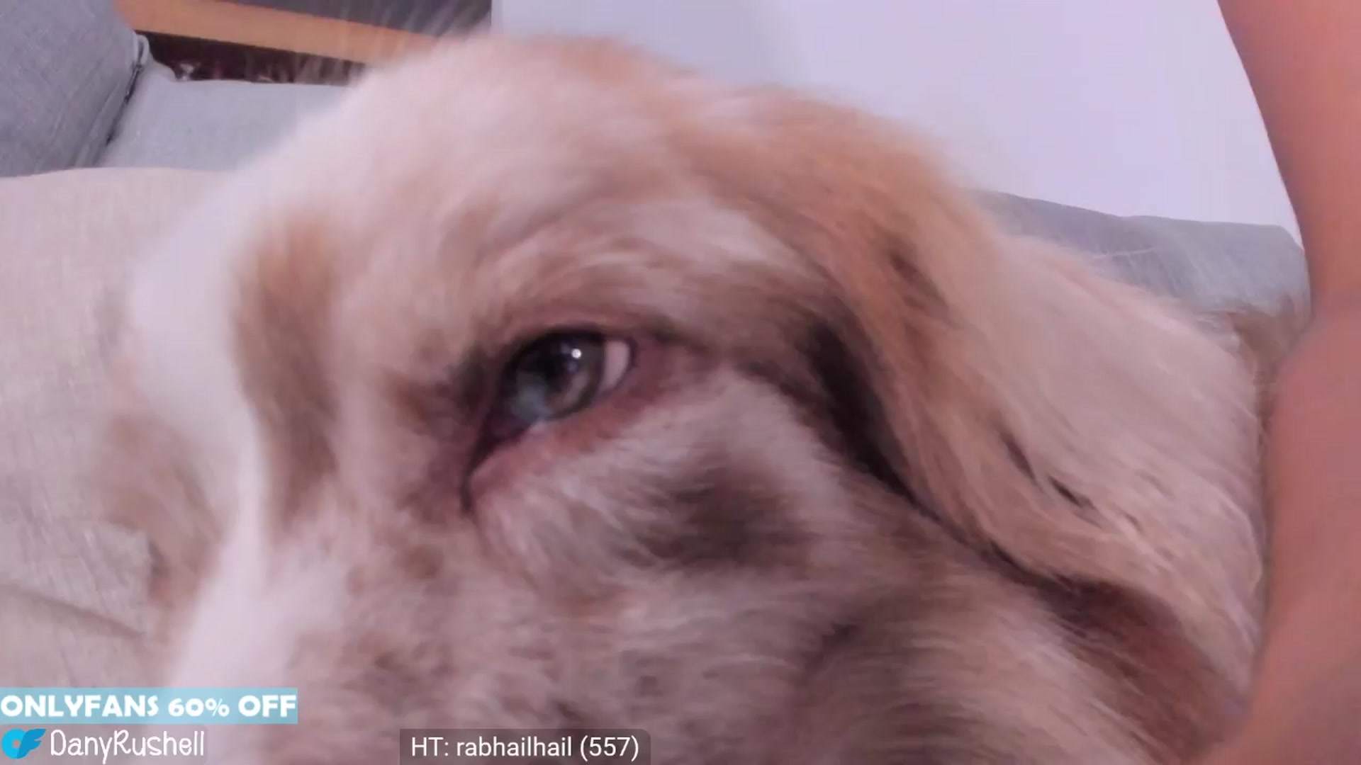 Gallery image thumbnail from NataliaMFC_'s myfreecams stream on, 04/04/2024, 06:34 image 20 of 20