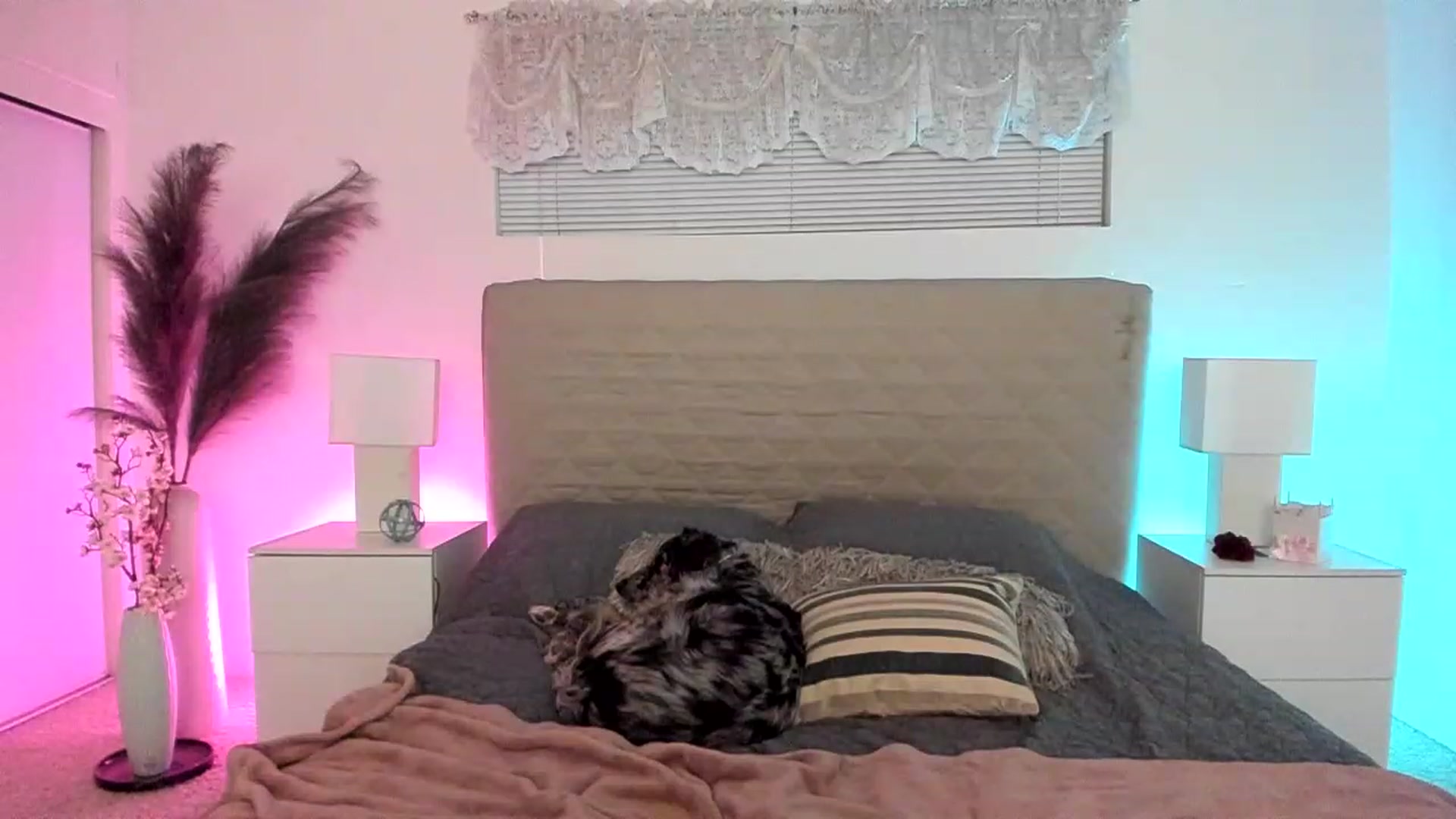 Gallery image thumbnail from Natalia_Rae's myfreecams stream on, 01/15/2023, 08:42 image 20 of 20