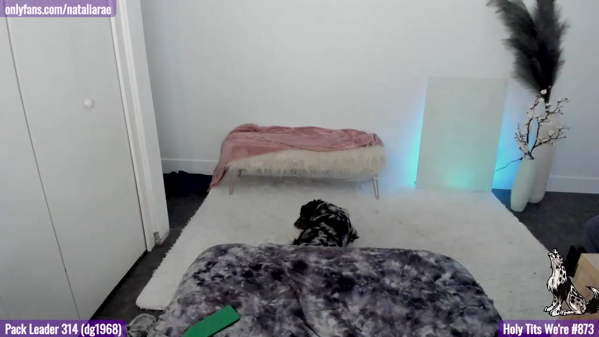 Gallery image thumbnail from Natalia_Rae's myfreecams stream on, 02/28/2023, 07:36 image 11 of 20