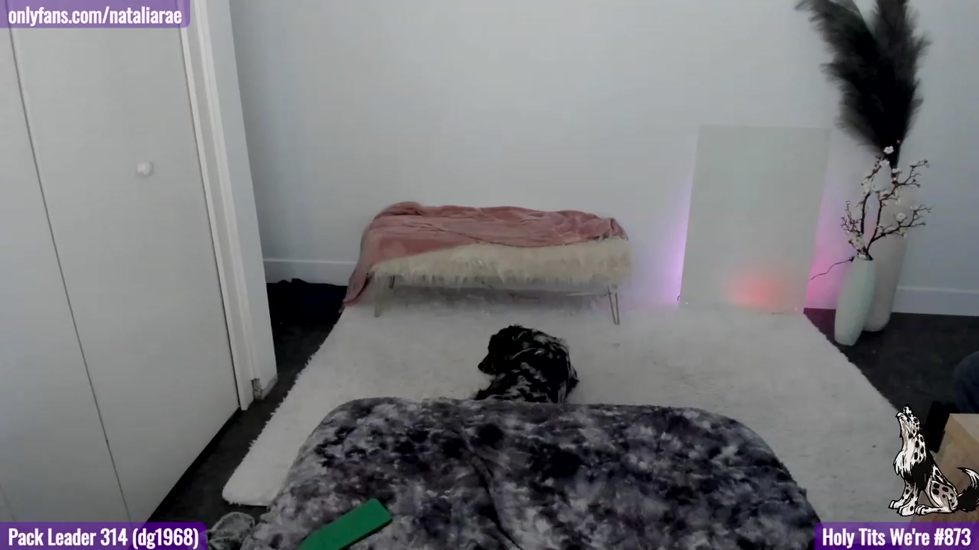 Gallery image thumbnail from Natalia_Rae's myfreecams stream on, 02/28/2023, 07:36 image 10 of 20