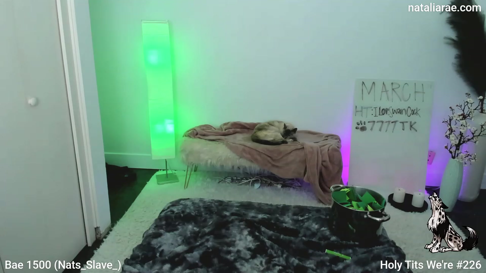 Gallery image thumbnail from Natalia_Rae's myfreecams stream on, 03/18/2023, 08:47 image 9 of 20